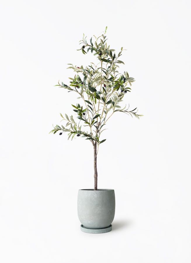 観葉植物【フェイクグリーン】オリーブ 実付き 115cm アイルエッグ