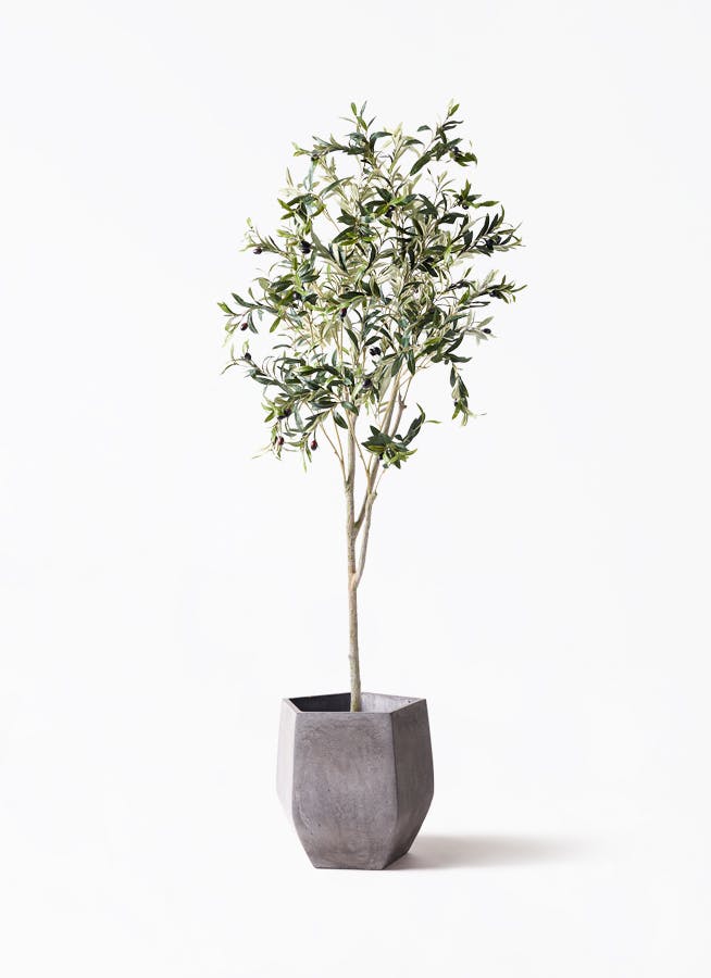 観葉植物【フェイクグリーン】オリーブ 実付き 180cm ファイバークレイ