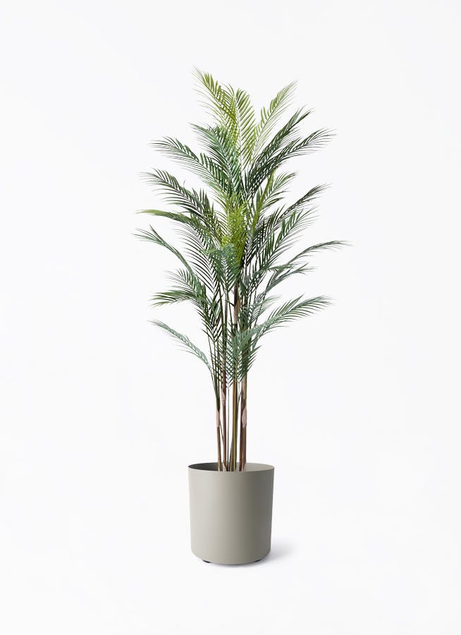 観葉植物【フェイクグリーン】アレカヤシ 185cm フェルム シリンダー