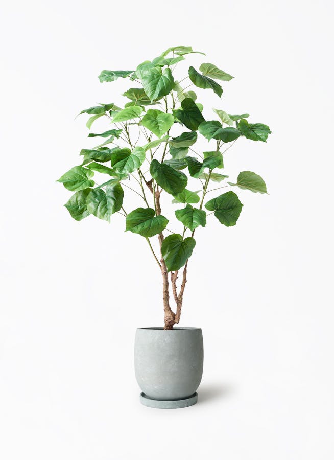 観葉植物【フェイクグリーン】ウンベラータ 120cm アイルエッグ グレー