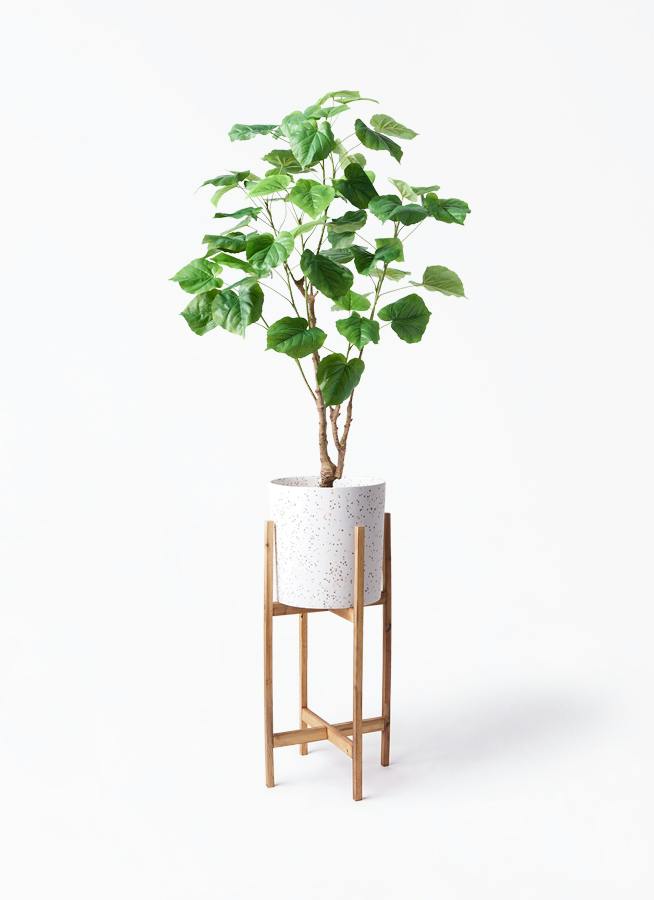 観葉植物【フェイクグリーン】ウンベラータ 120cm ホルスト シリンダー 