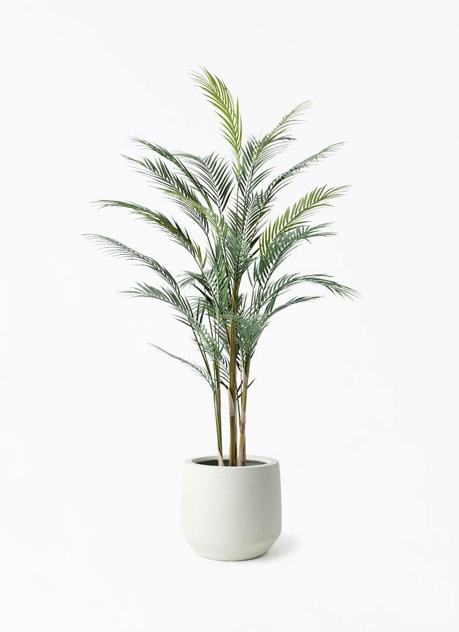 大型 フェイクグリーン ヤシの木 150cm 白鉢付 インテリア 観葉植物 観葉植物【フェイクグリーン】アレカヤシ 150cm パボ ミドル オフ