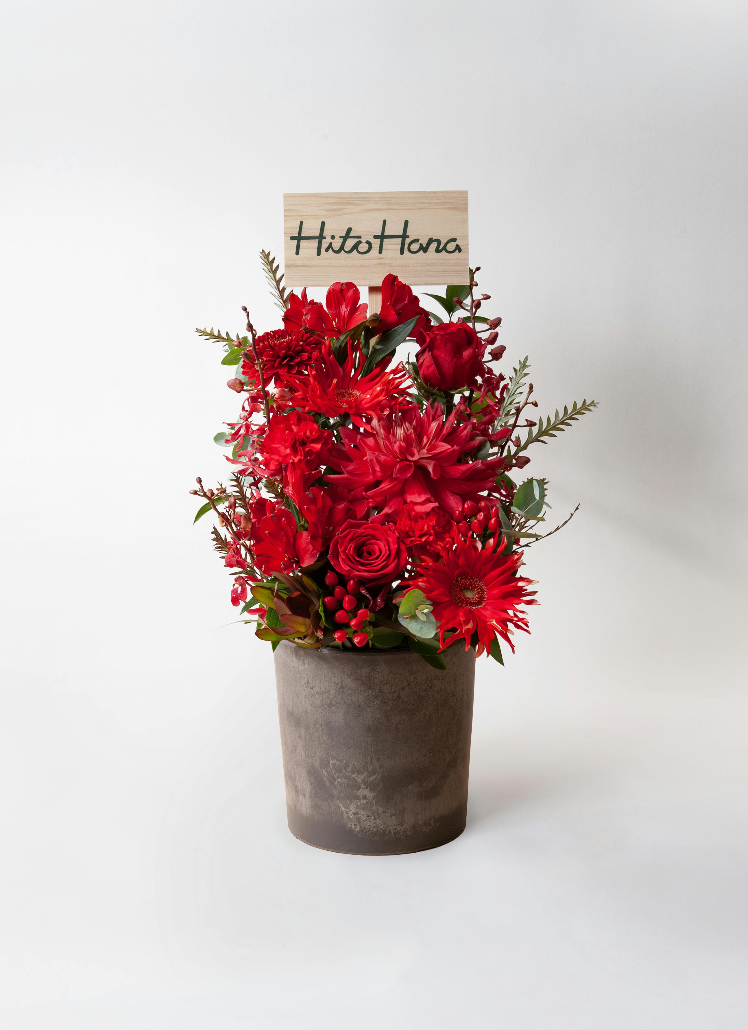 赤色のアレンジメント | フラワーギフトならHitoHana（ひとはな）
