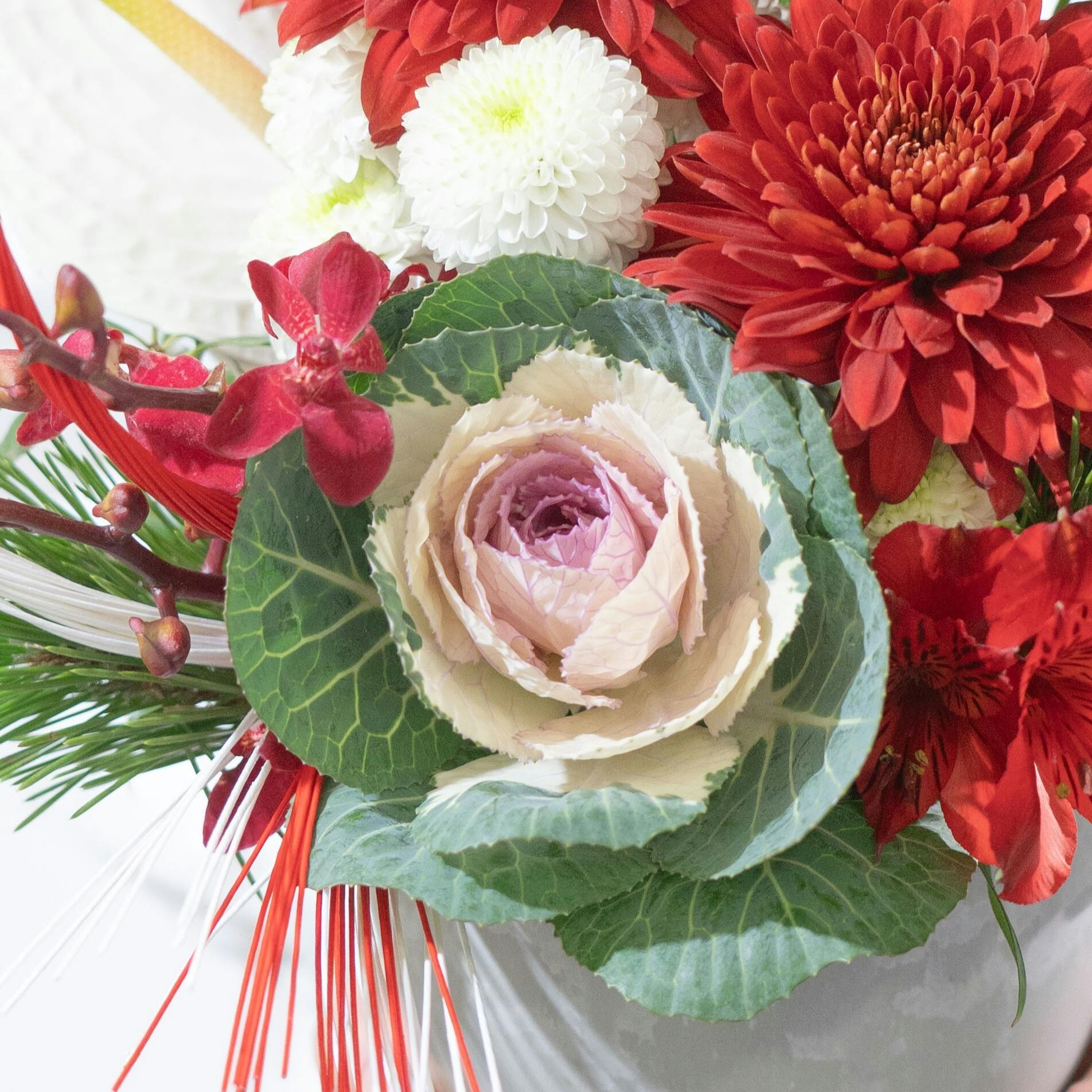お正月飾りの葉牡丹（ハボタン） | HitoHana（ひとはな）