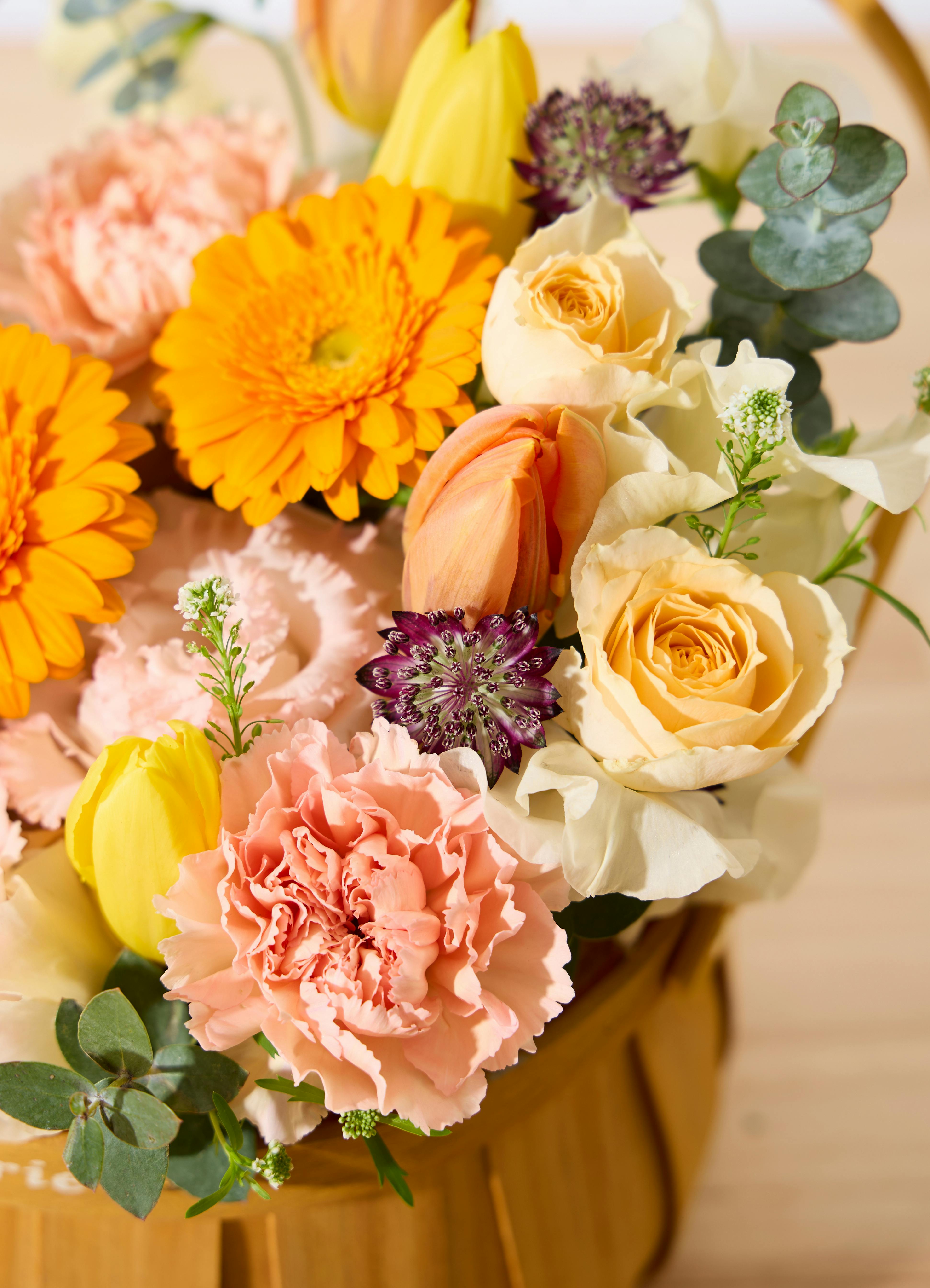 立春のアレンジメント チューリップとガーベラ オレンジ M