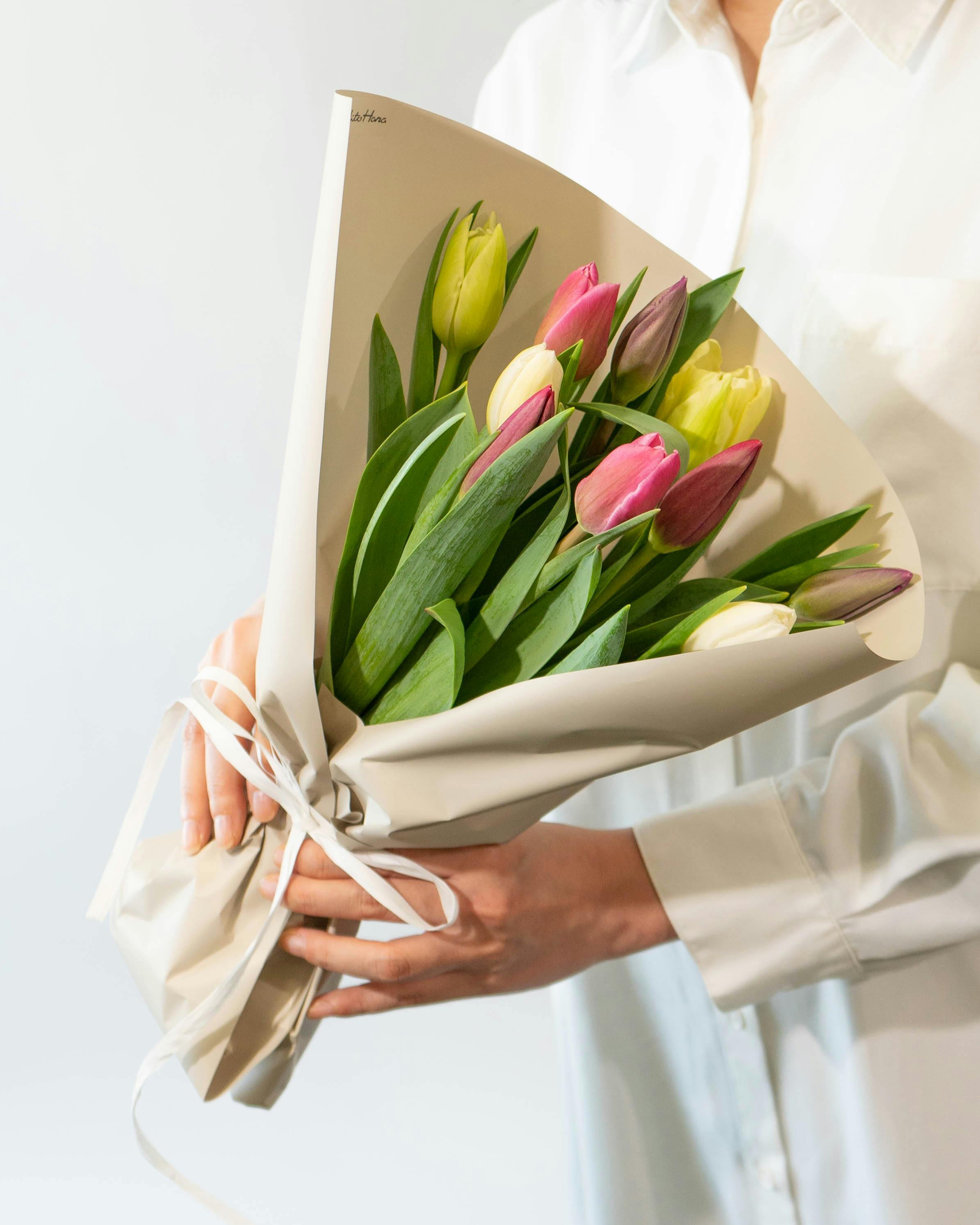 産地直送 チューリップ花束 おまかせミックス（20本入り）／富山 富山