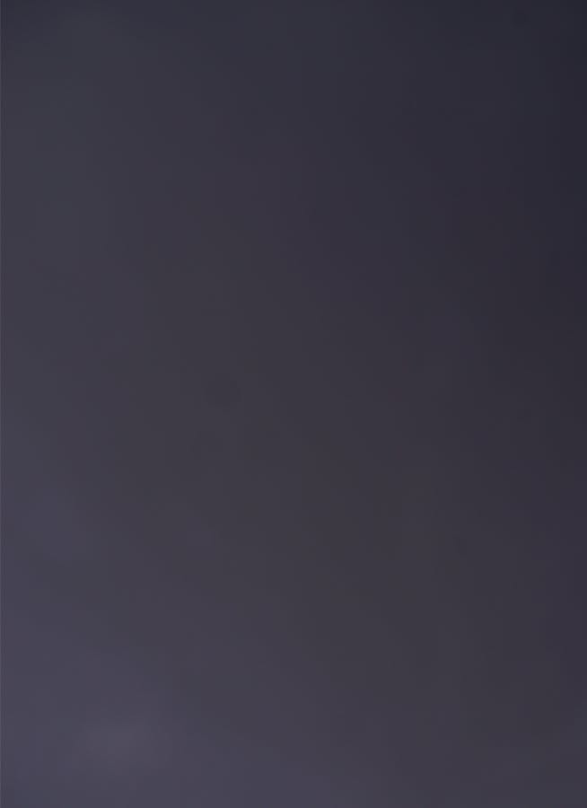 観葉植物 ソテツ 10号 ベータ キューブプランター 黒 付き