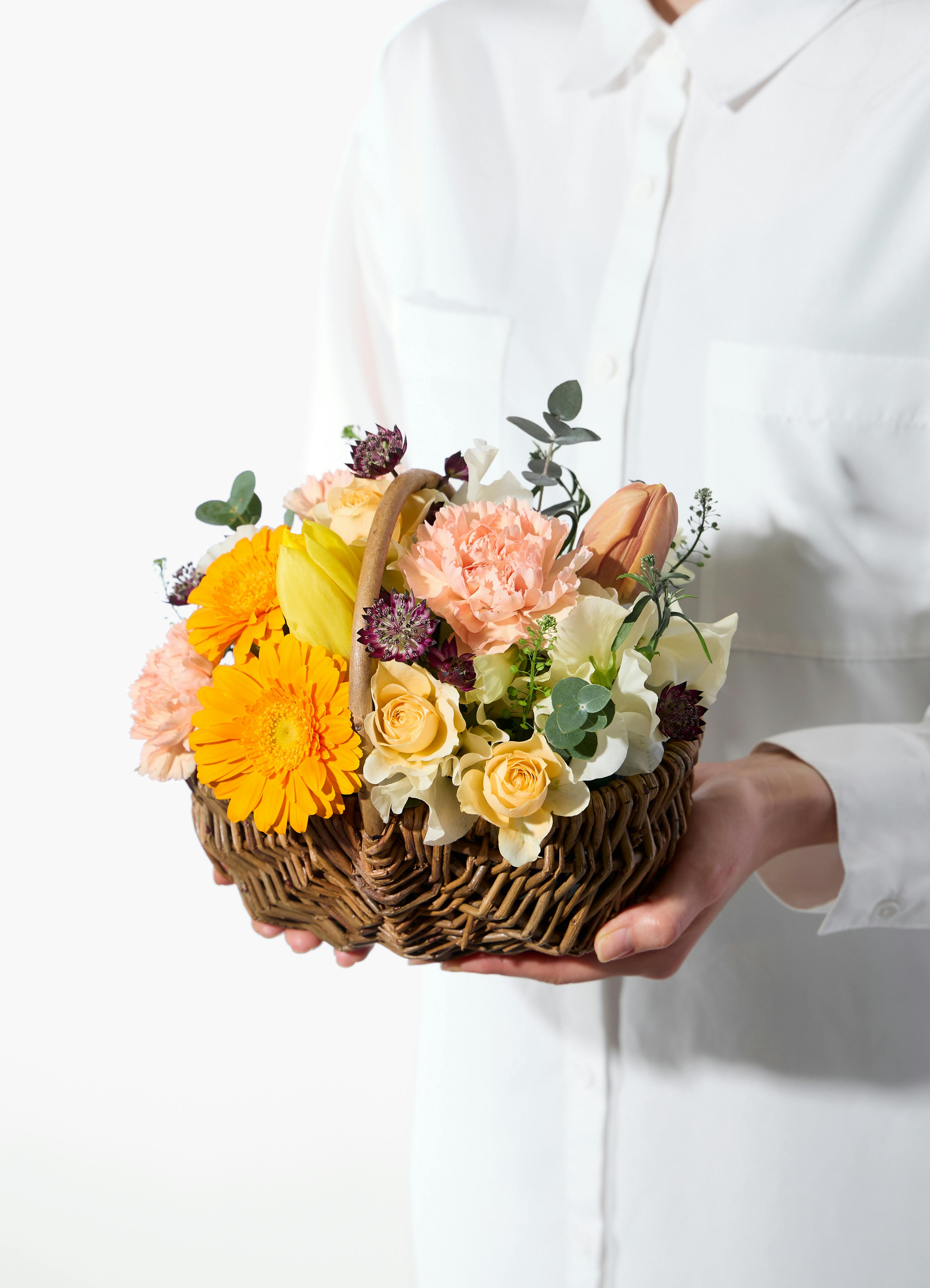 DEAN & DELUCA ティーセレクション スイート6pcs 2025と立春の