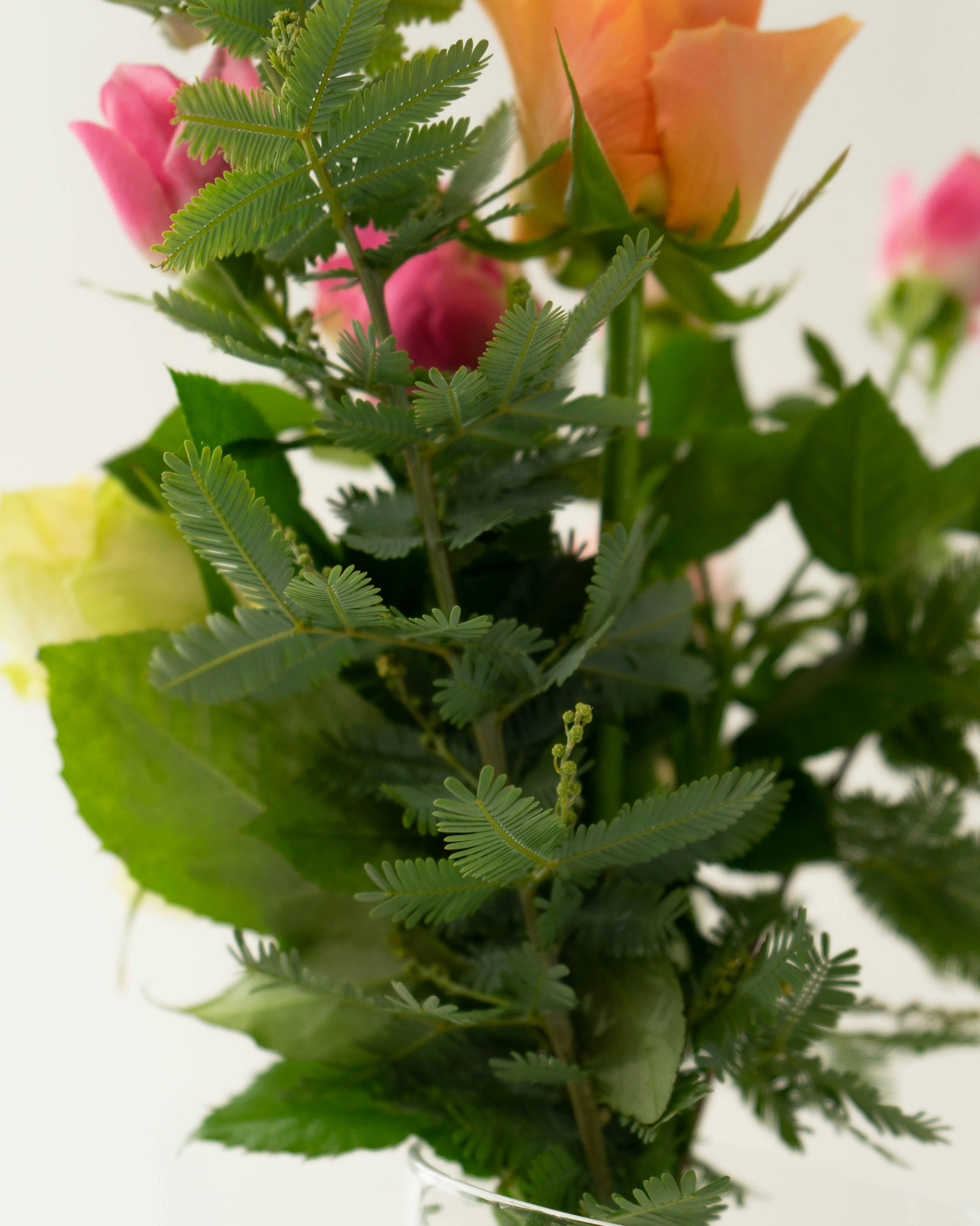 産地直送 そのまま飾れる バラ花束 ミックス（6本入り）／愛知 榊原