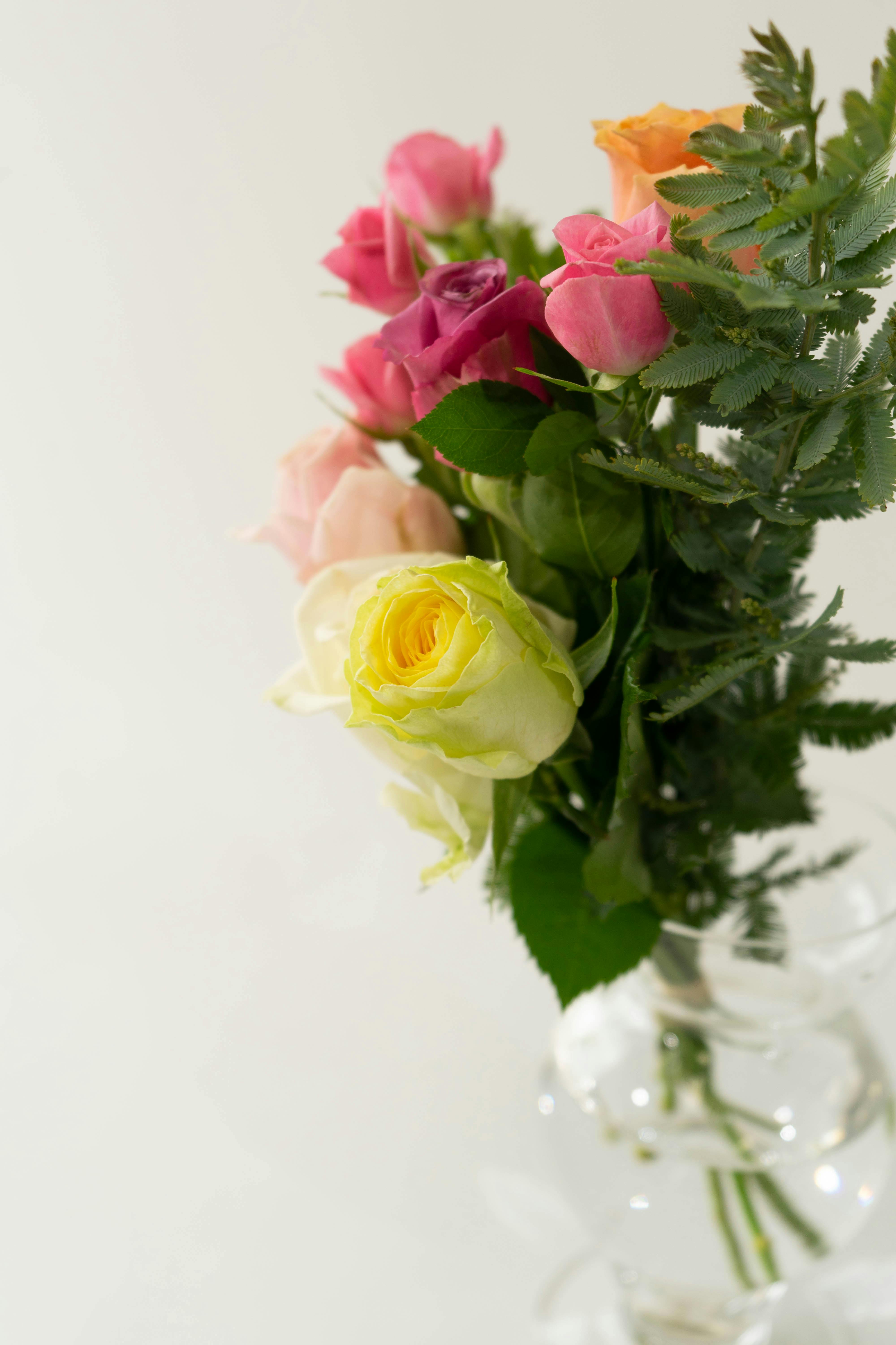 産地直送 そのまま飾れる バラ花束 ミックス（6本入り）／愛知 榊原