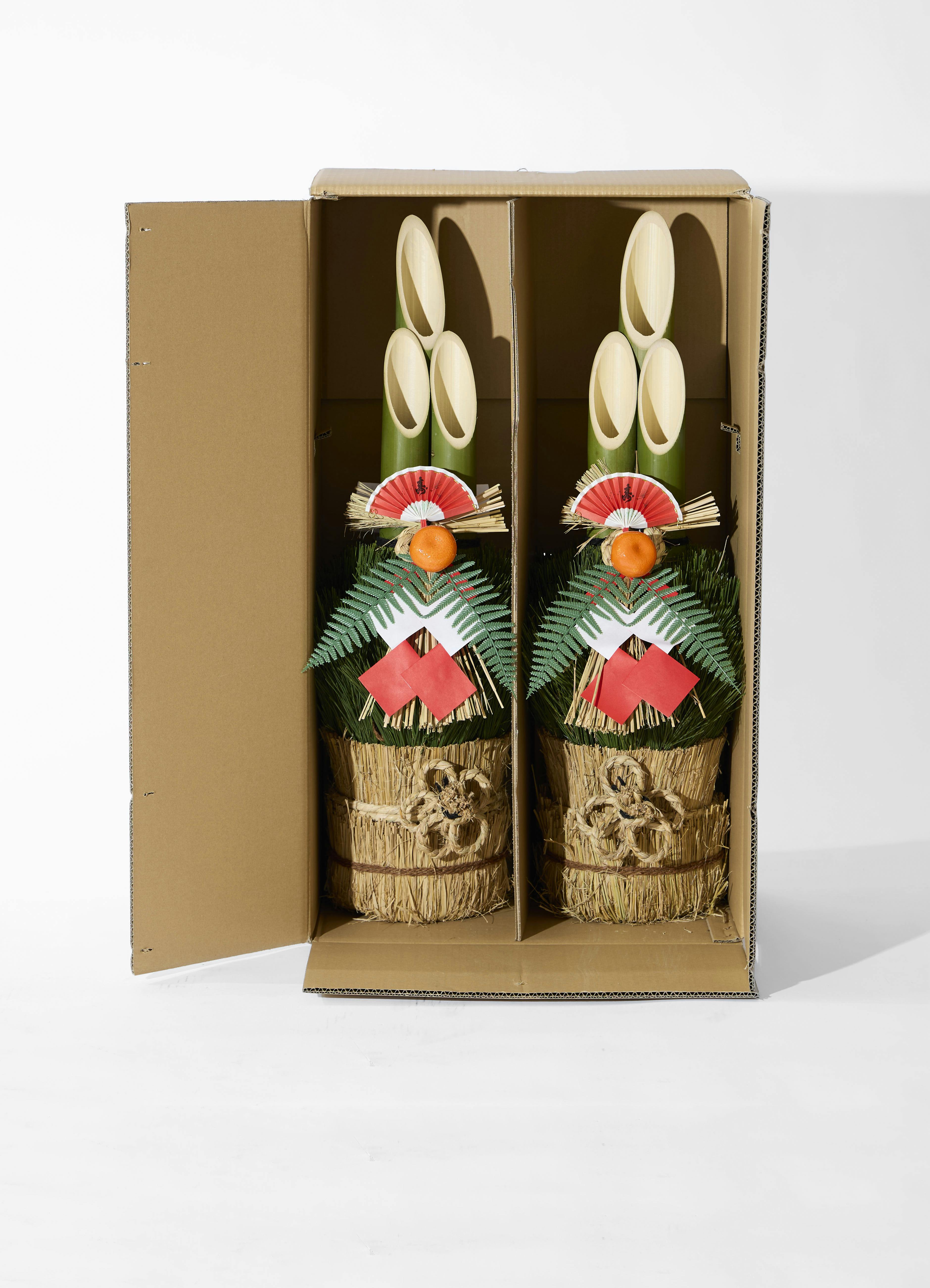 ウラジロ　正月　門松 門松にウラジロ | learn-to-live-happily 学ぶって楽しい