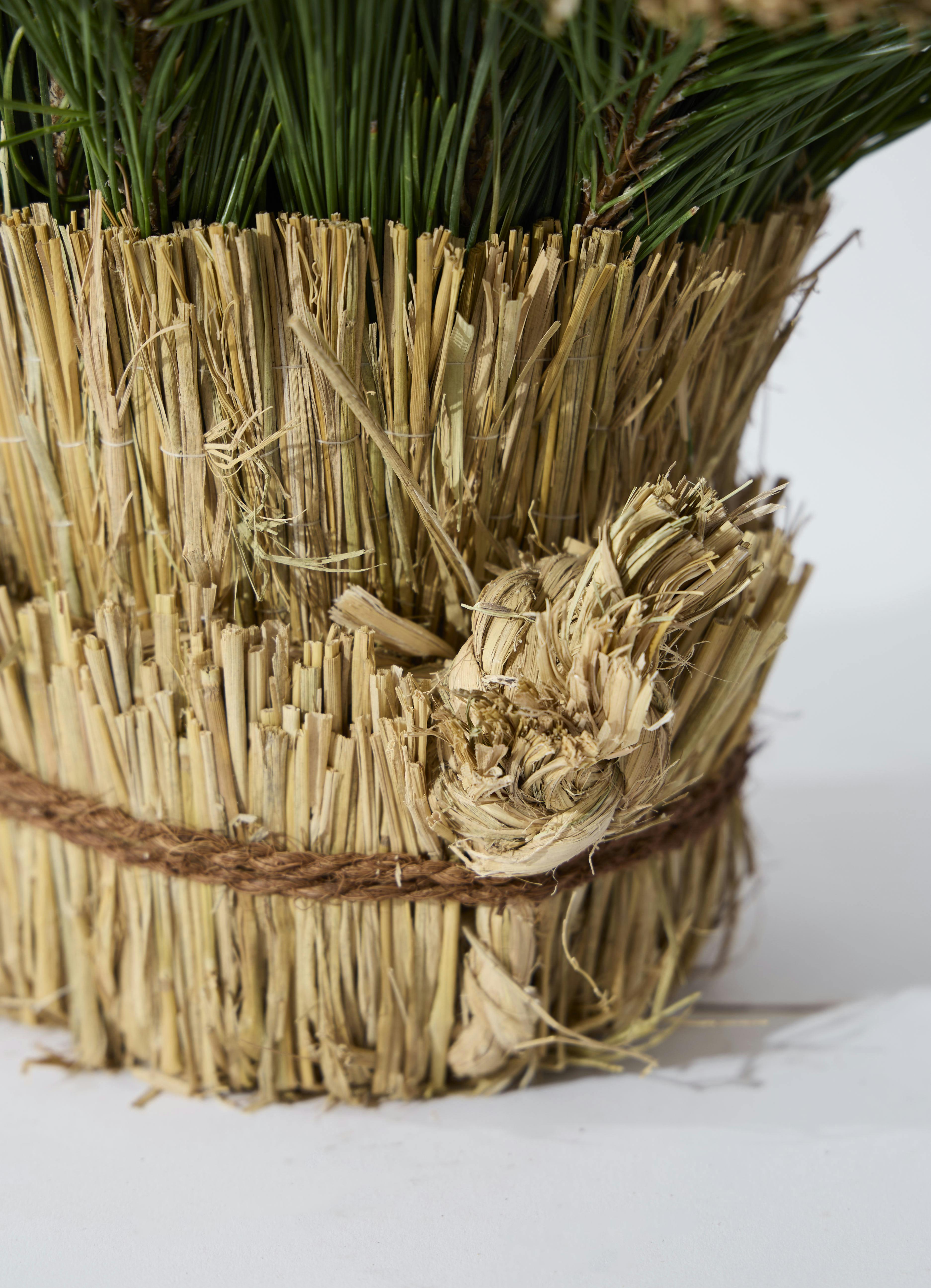 お正月用 門松 60cm（天然松・左右一対セット） | 観葉植物なら