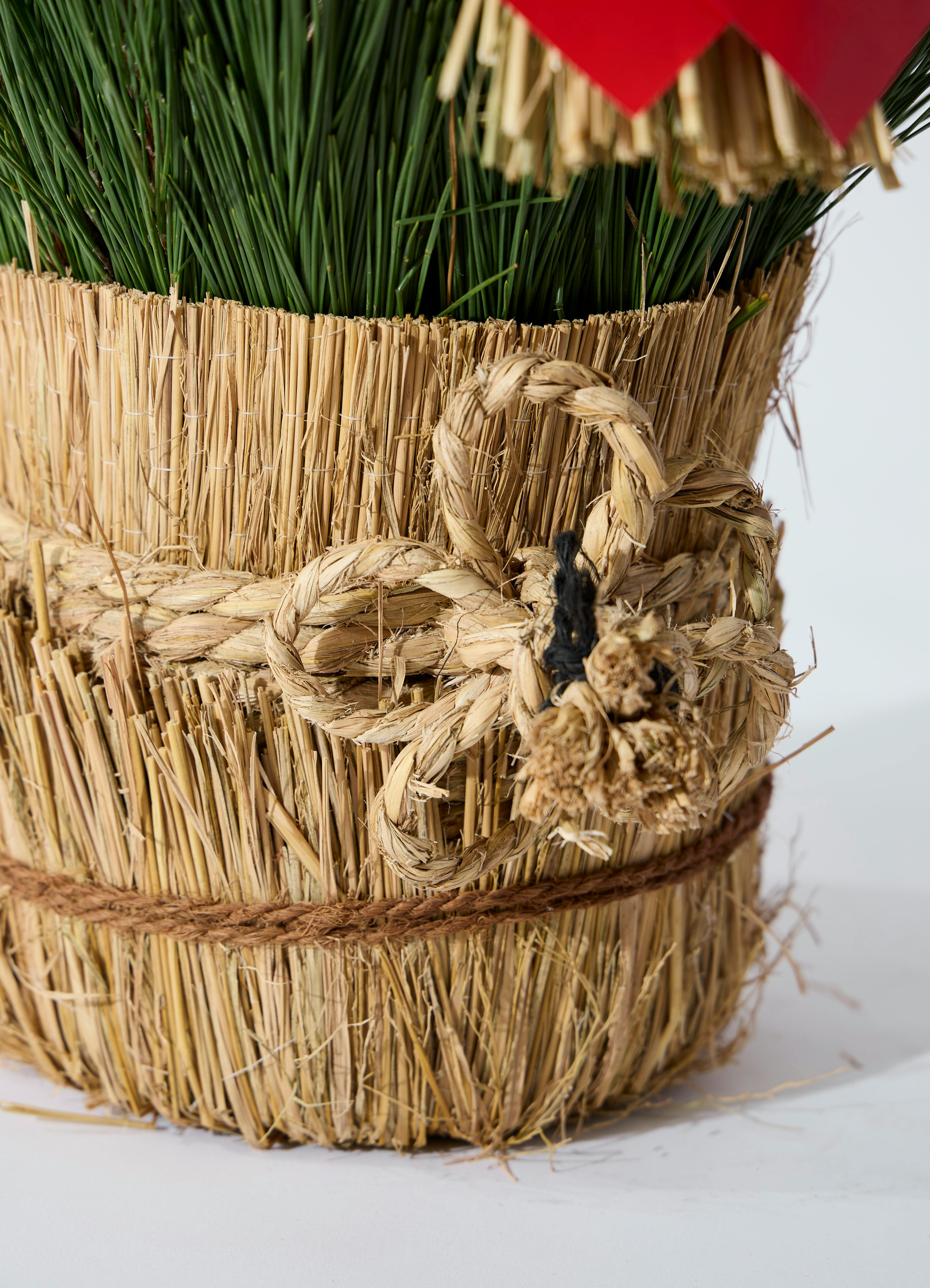 お正月用 門松 75cm（天然松・左右一対セット） | 観葉植物なら