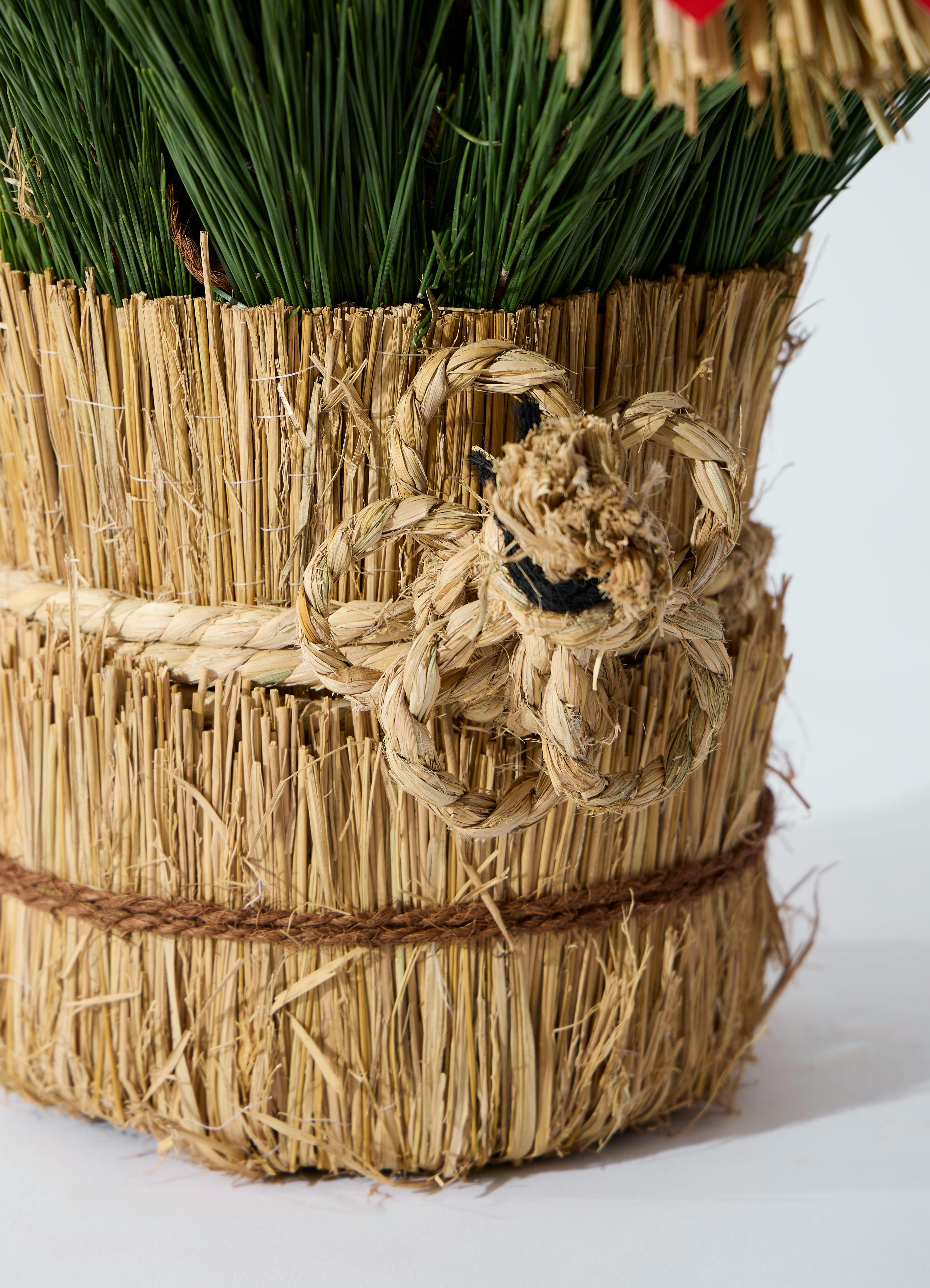 お正月用 門松 75cm（天然松・左右一対セット） | 観葉植物なら