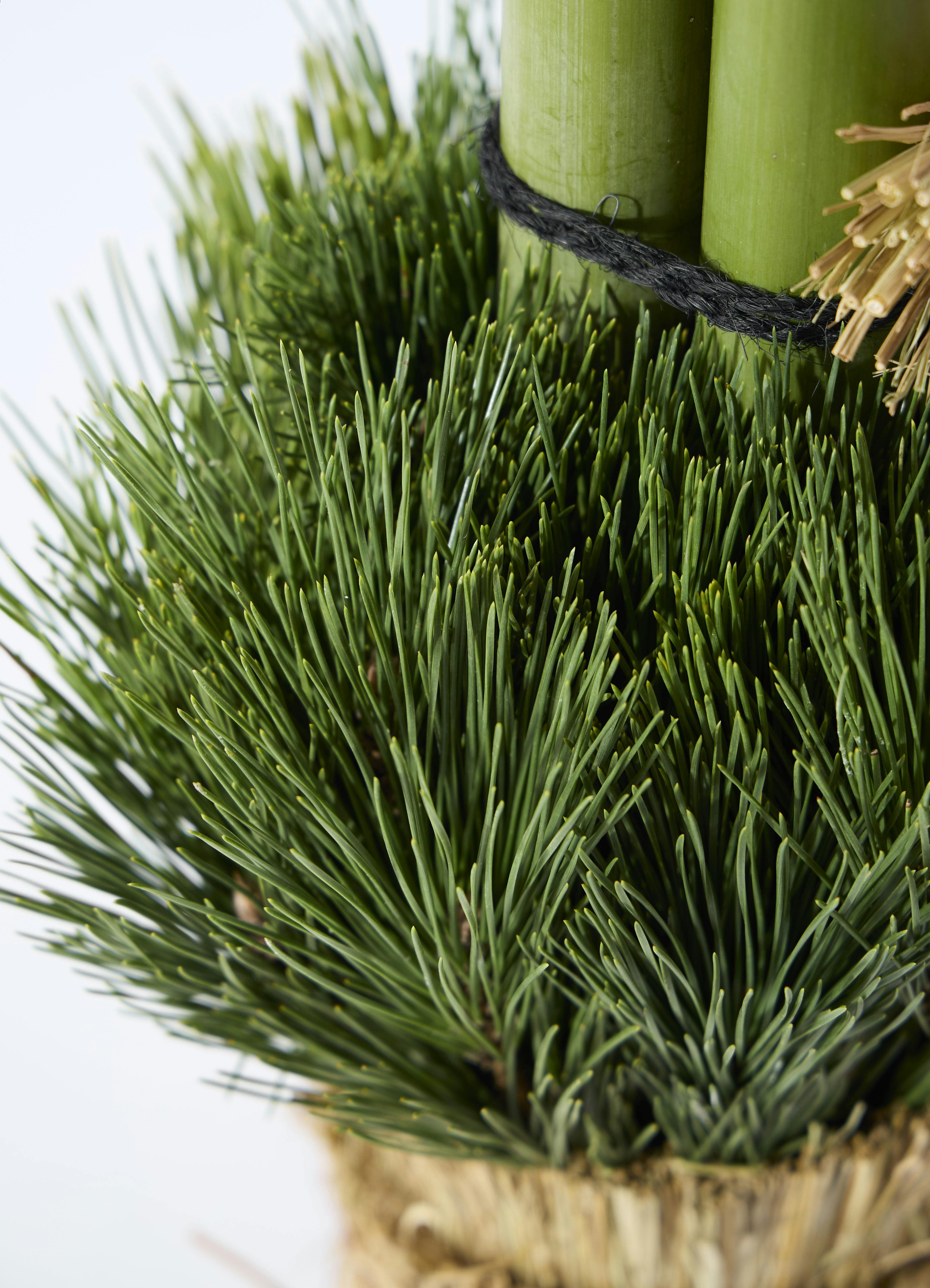 お正月用 門松 60cm（天然松・左右一対セット） | 観葉植物なら