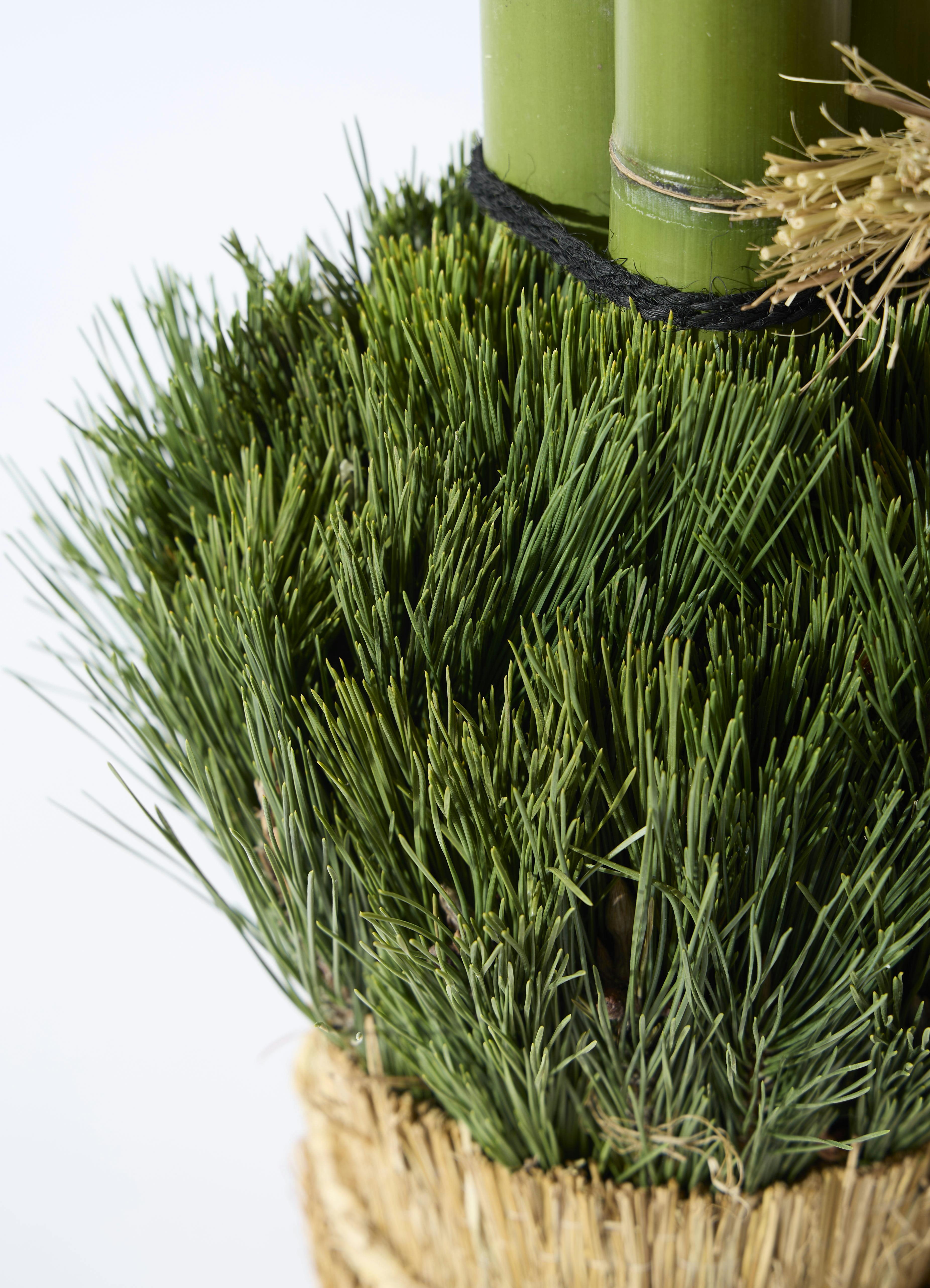 お正月用 門松 75cm（天然松・左右一対セット） | 観葉植物なら