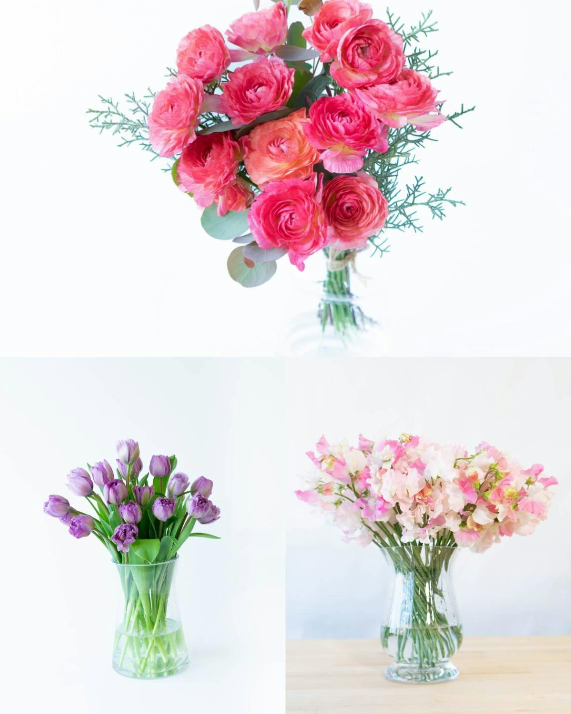 ラナンキュラスの花束・ブーケ | フラワーギフトならHitoHana