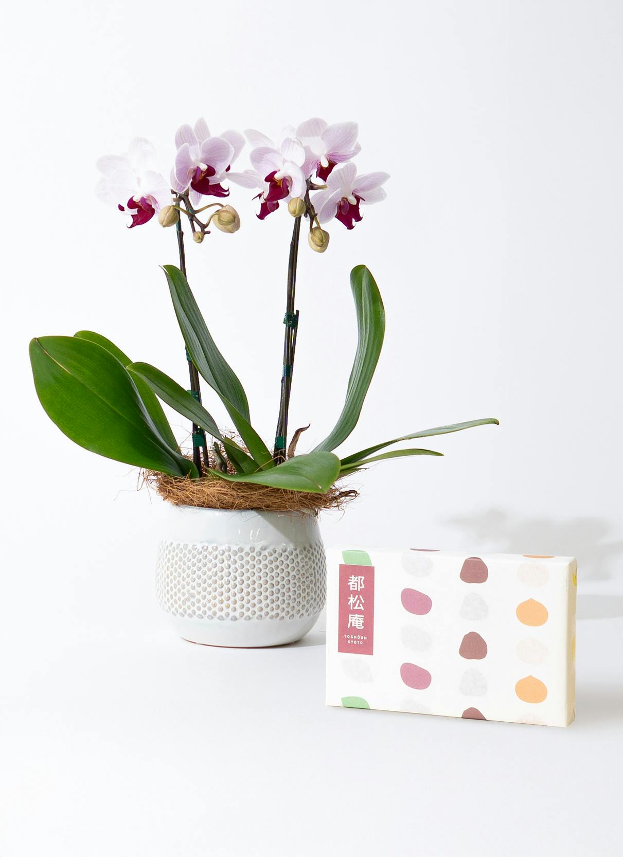 都松庵 ひとくちようかん 4本セット（まっちゃ・おぐら・こしあん