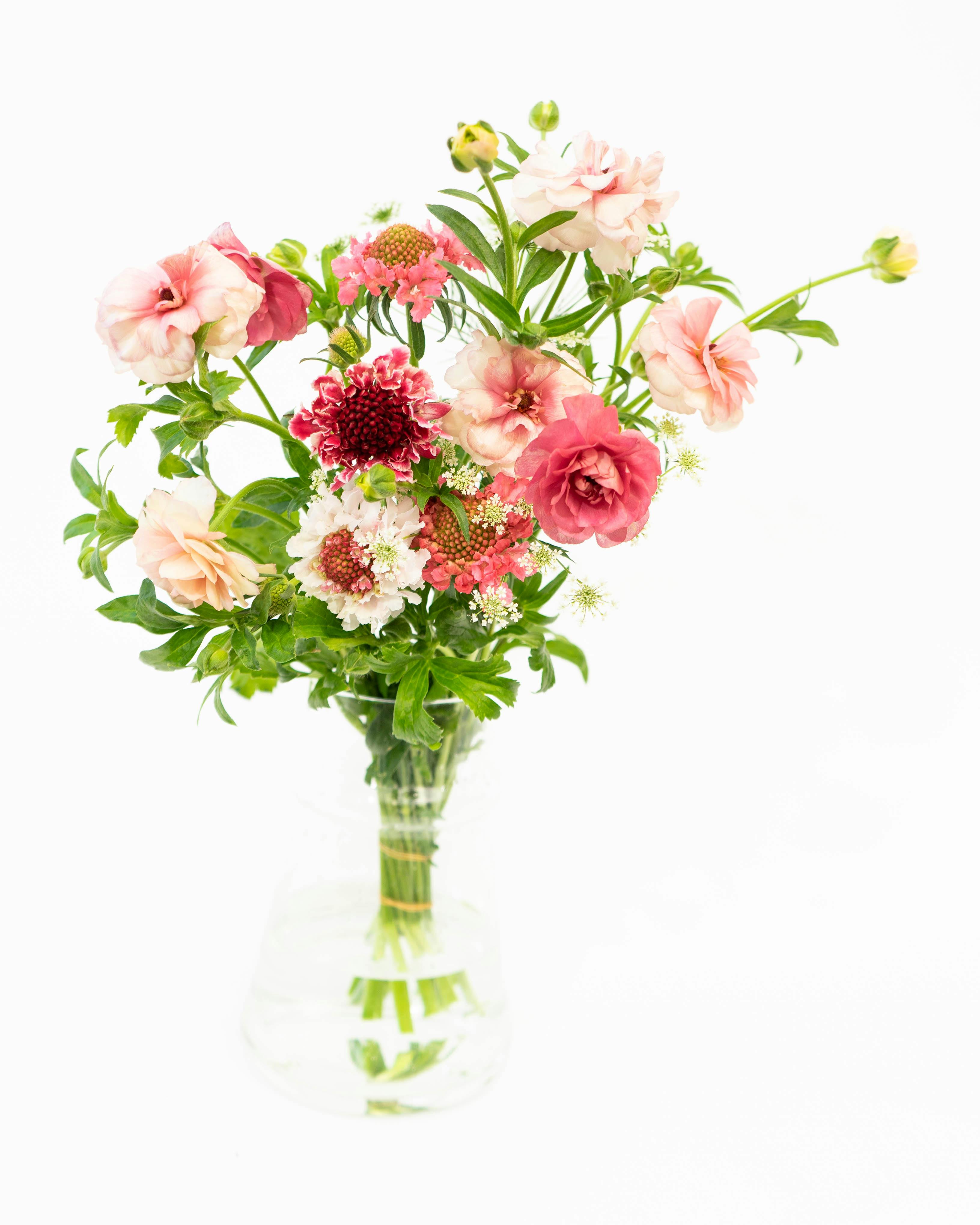 【♡】ピンク系ラナンキュラスの花束 産地直送 ラナンキュラスラックス 草花 花束 ピンク Sサイズ／千葉