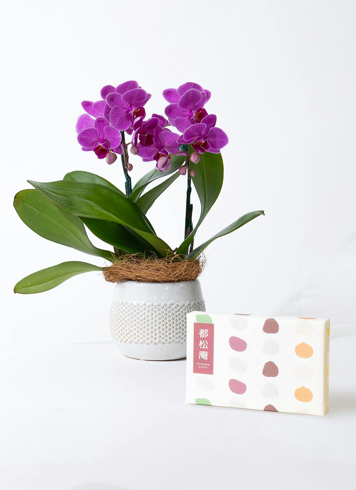 都松庵 ひとくちようかん 4本セット（まっちゃ・おぐら・こしあん