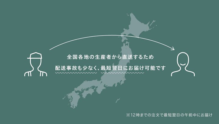 胡蝶蘭通販 当日発送可 送料無料 Hitohana ひとはな