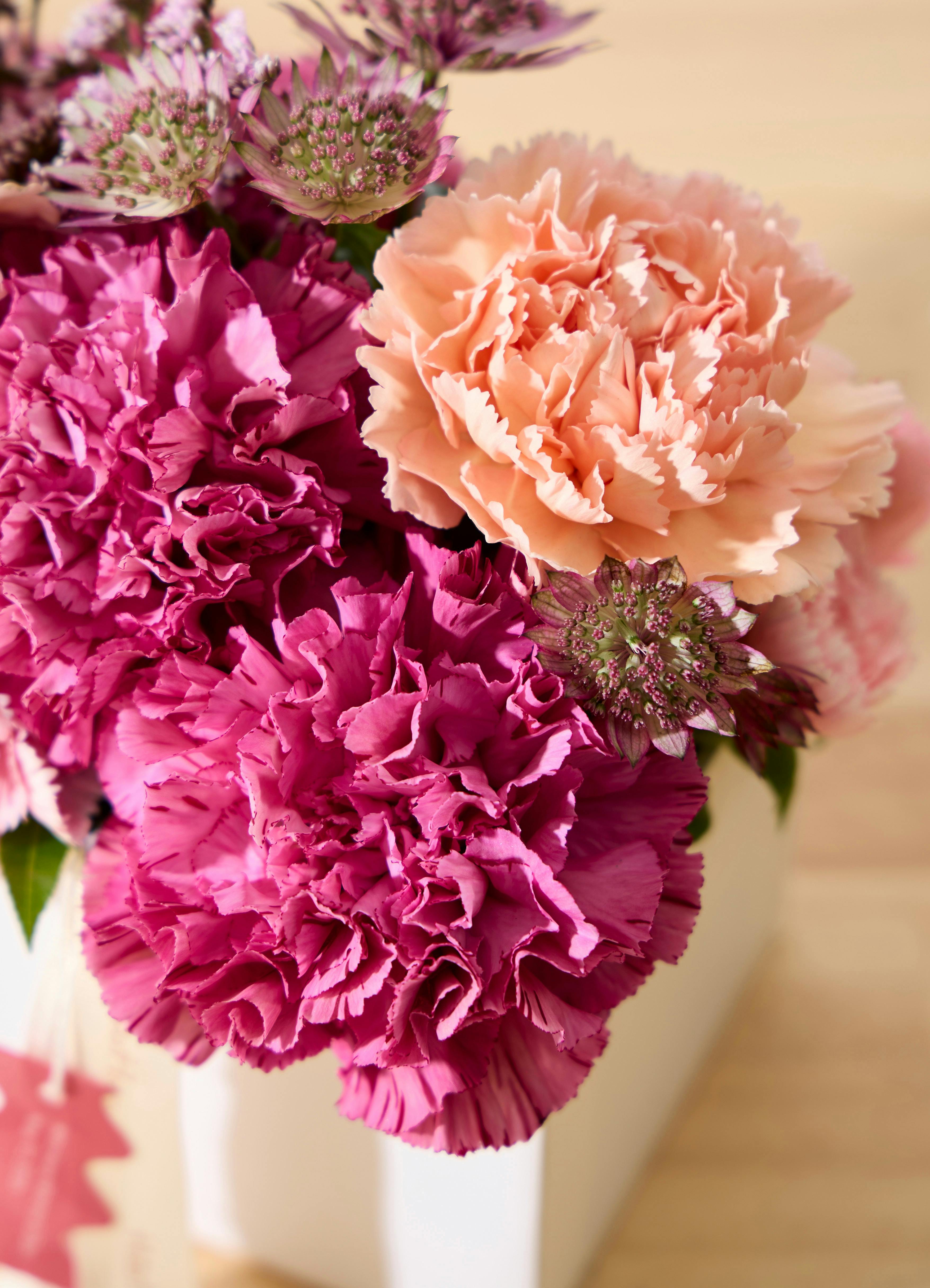 母の日】猿田彦珈琲 ドリップバッグギフト【大吉ブレンド・猿田彦