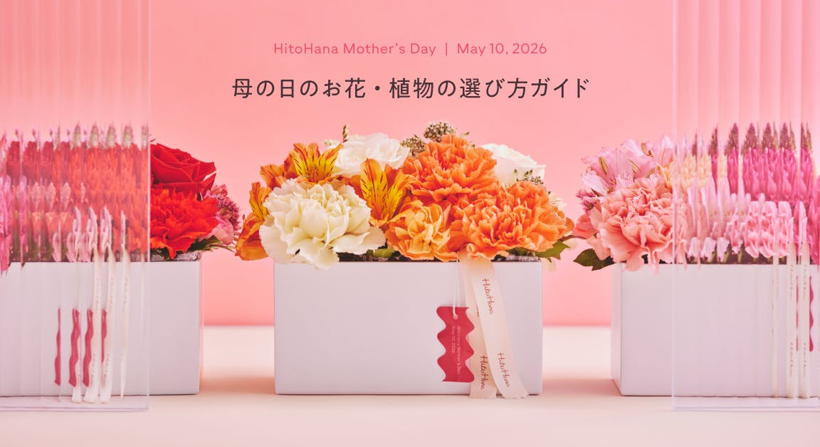 母の日 花束・ギフト・プレゼント特集2026 | フラワーギフトなら