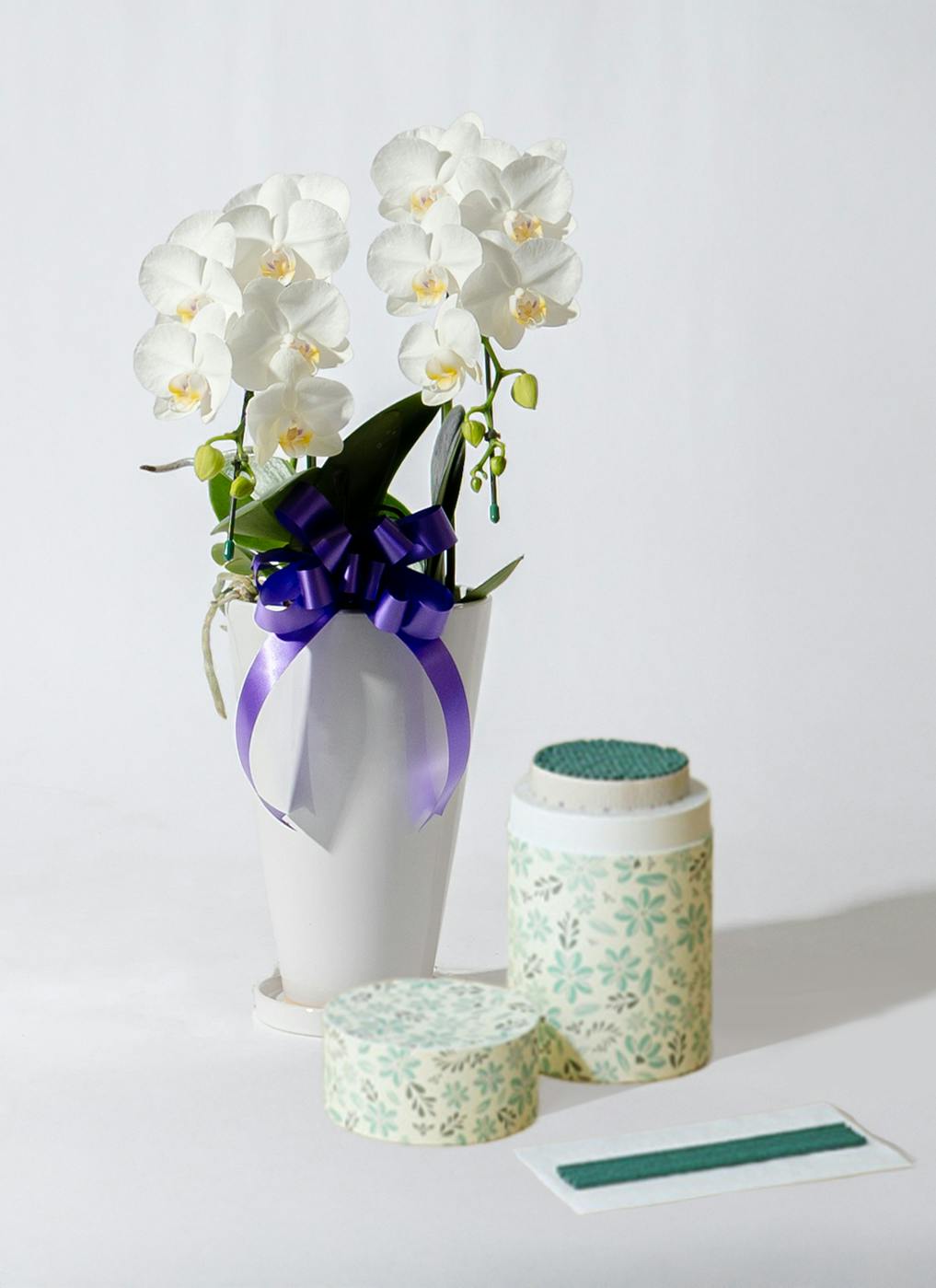 amabilis-offering-3-giftset-