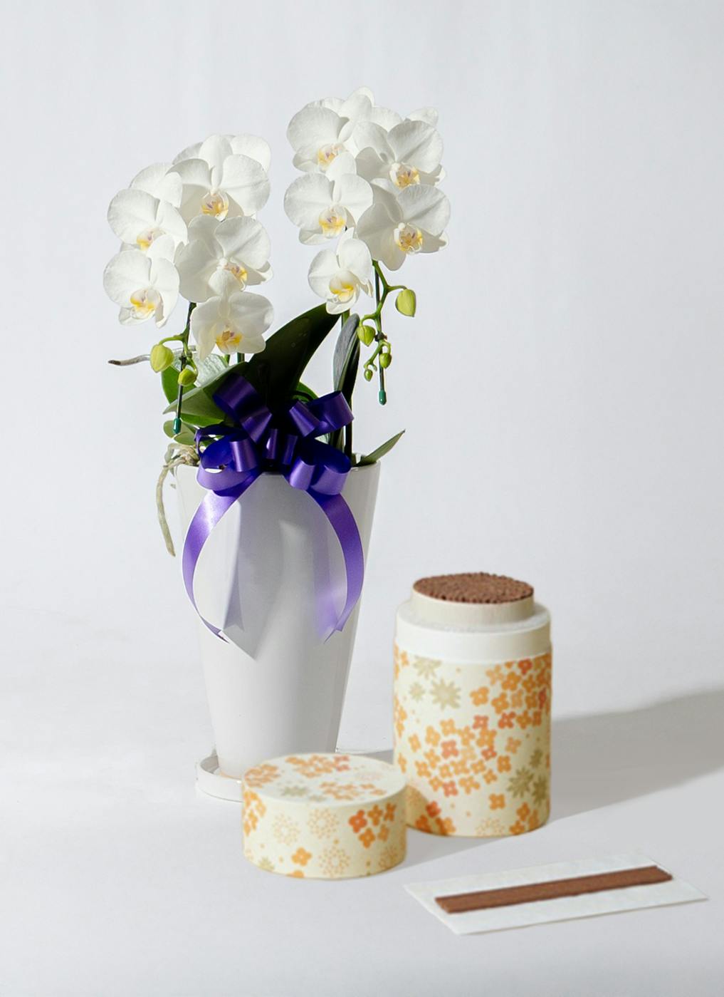 白色の胡蝶蘭を贈る | HitoHana（ひとはな）