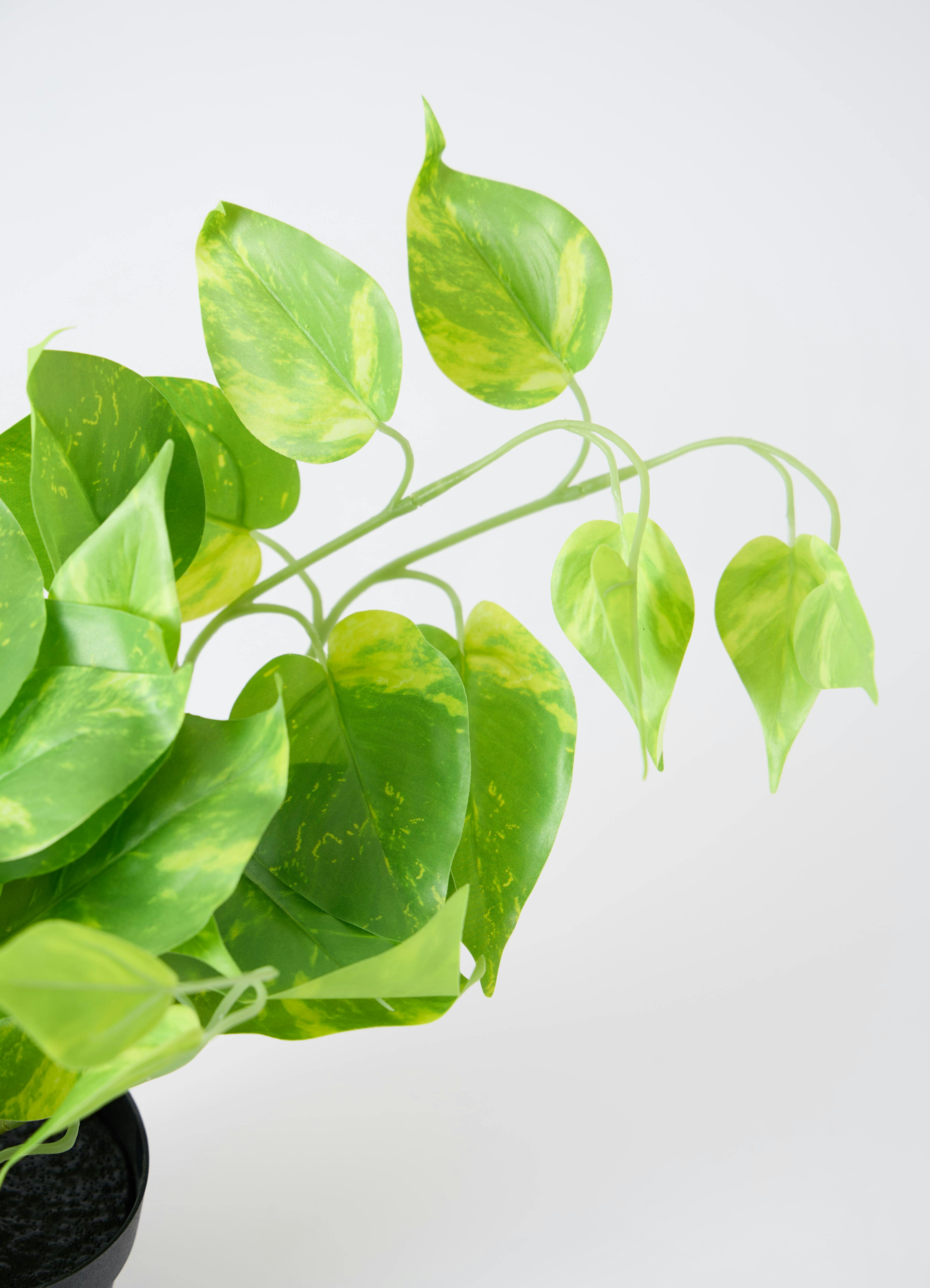 観葉植物 【フェイクグリーン】 ポトス 20cm インナ 15 W 付き | 観葉
