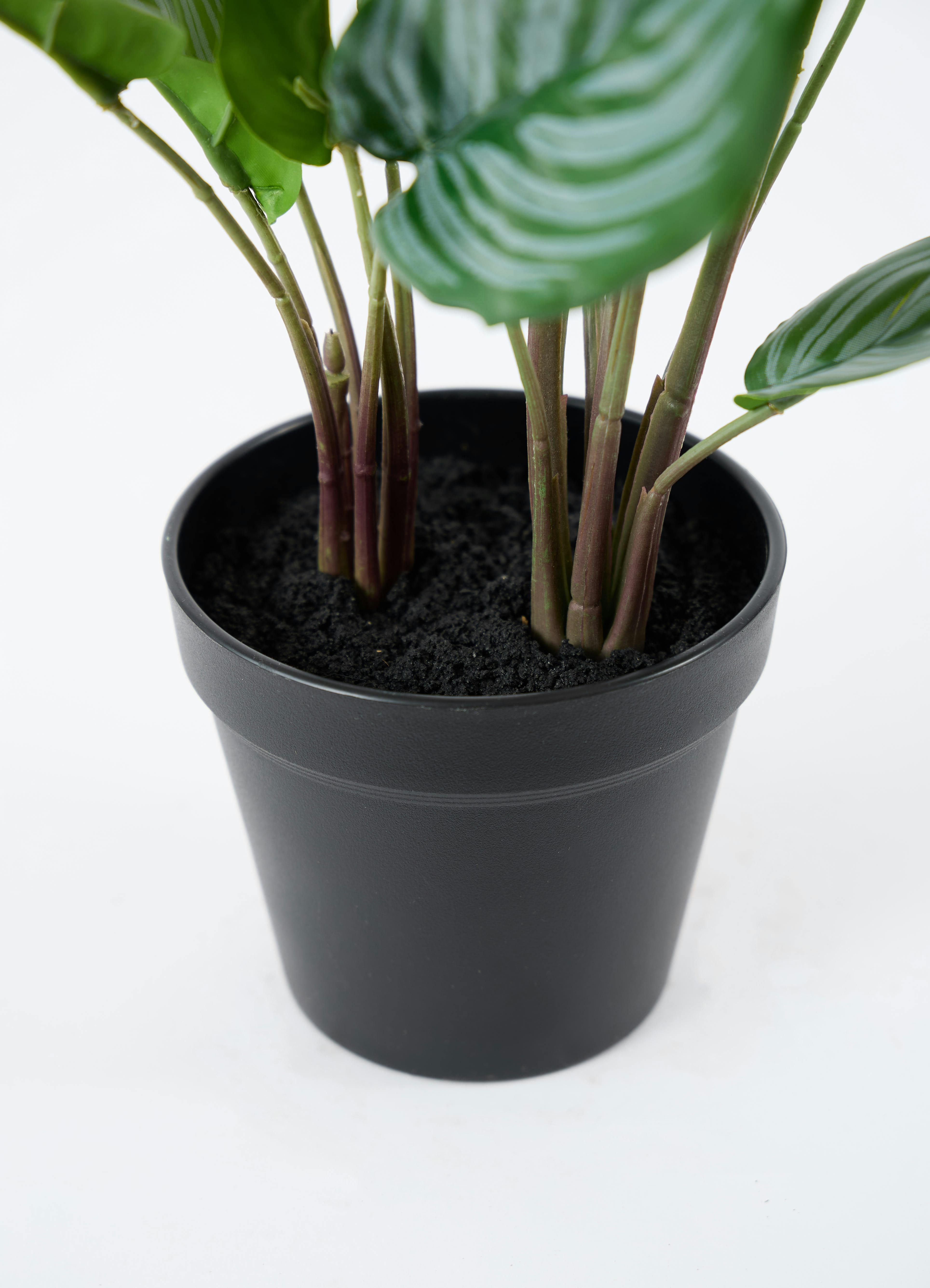 観葉植物【フェイクグリーン】カラテア 30cm オスト ボール マット