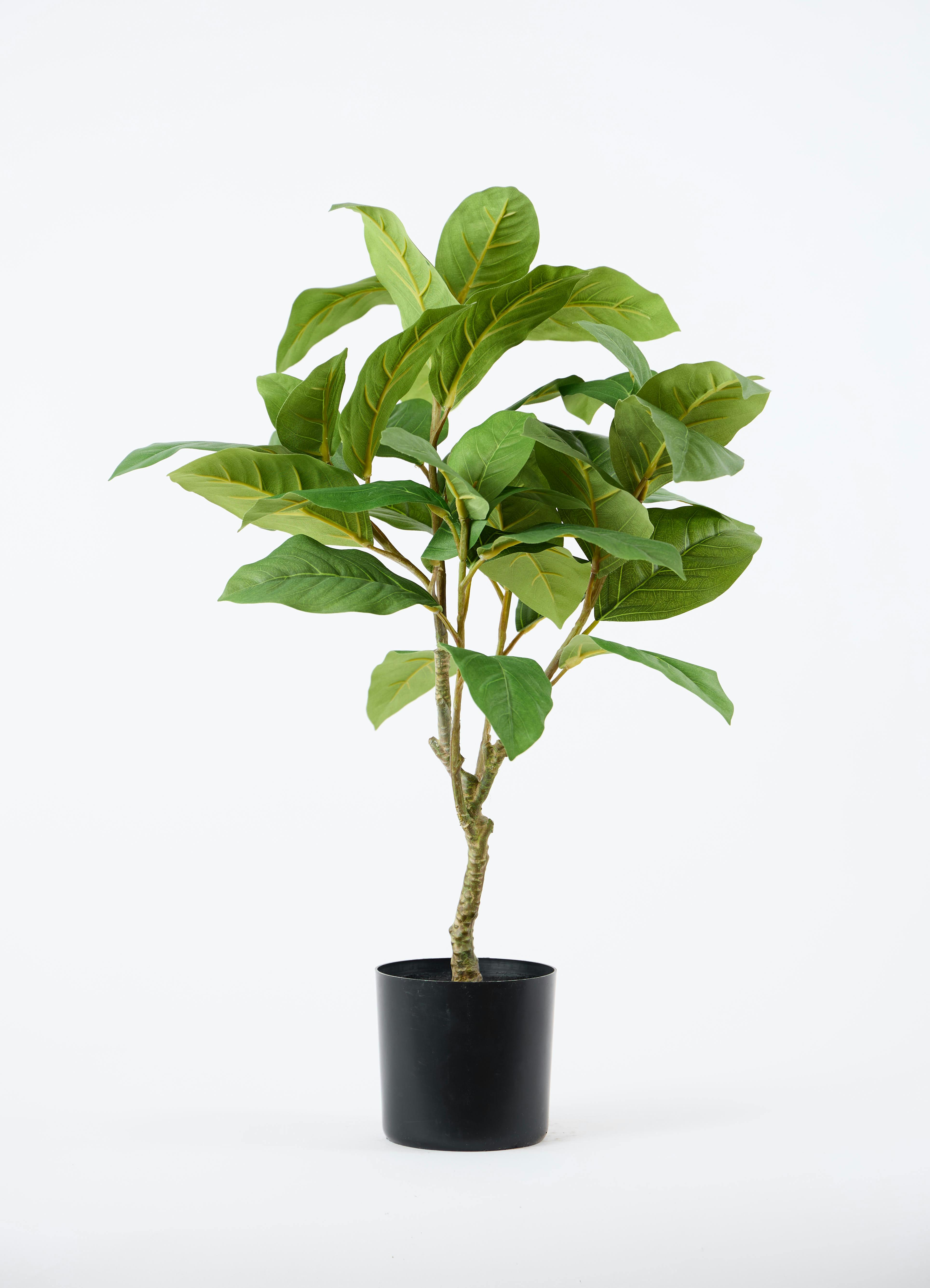 観葉植物【フェイクグリーン】フィカス ベンガレンシス 60cm ベース