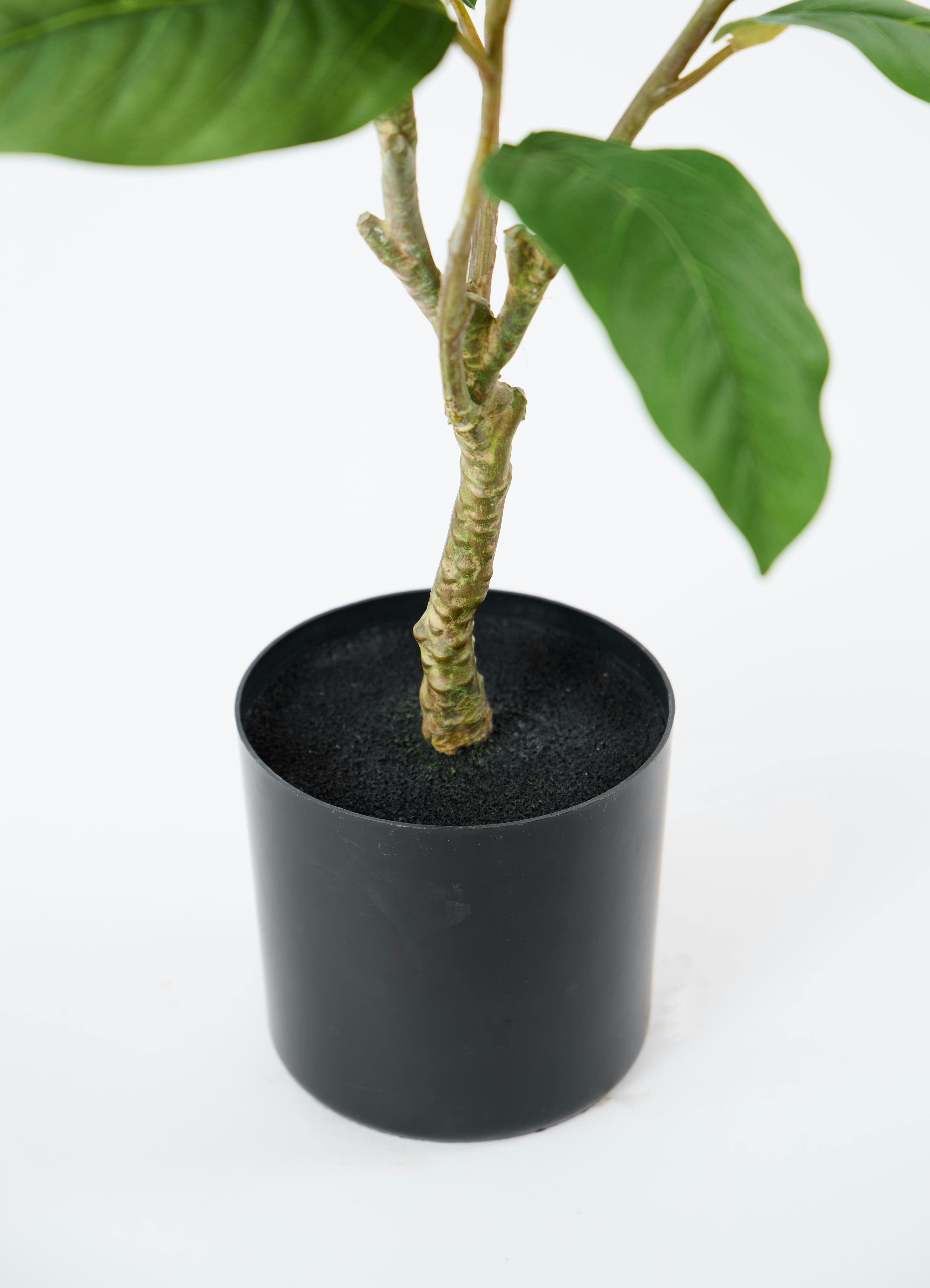 観葉植物【フェイクグリーン】フィカス ベンガレンシス 60cm ベース