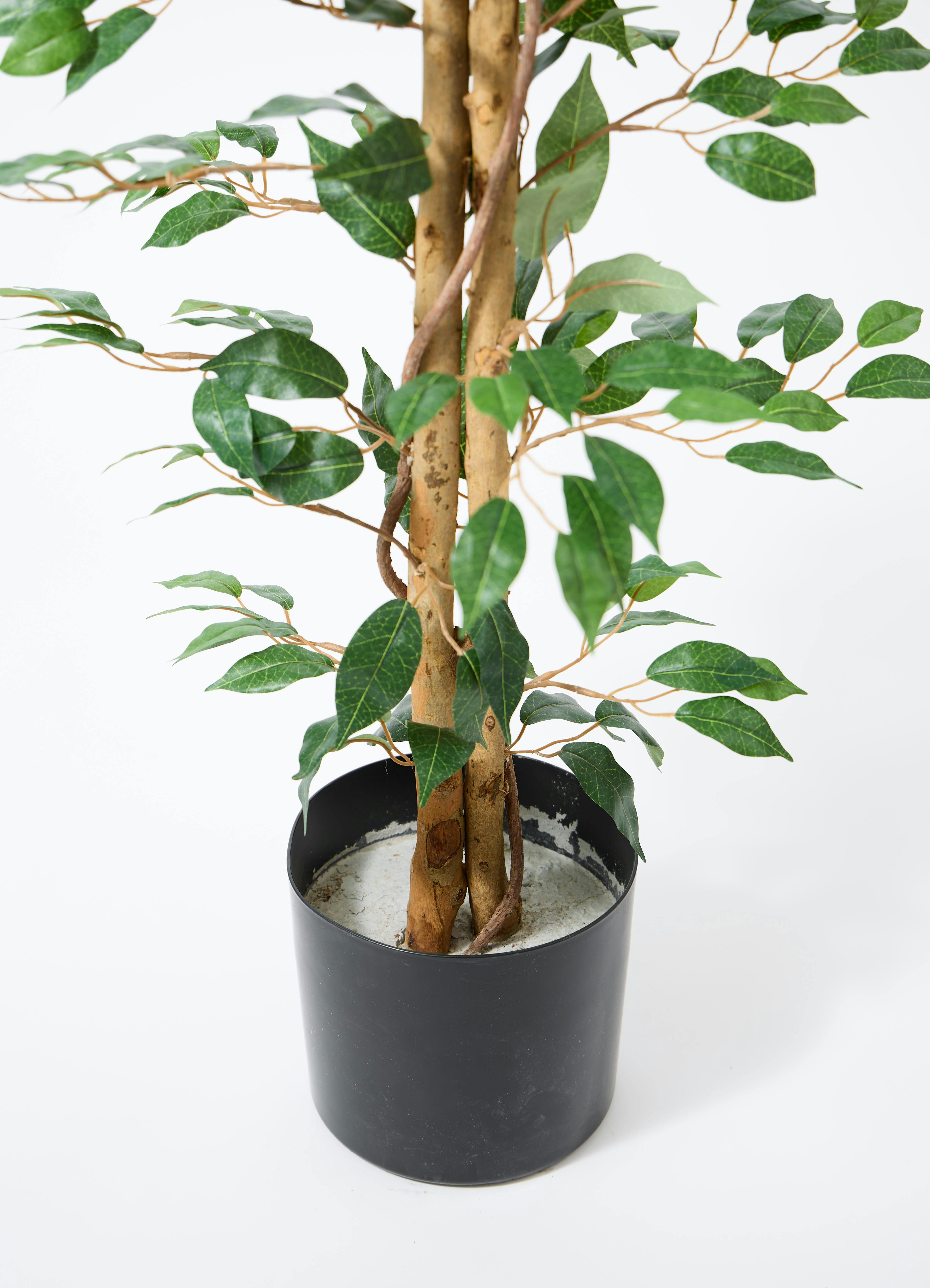 観葉植物 【フェイクグリーン】 ベンジャミン 原木 180cm テラニアス
