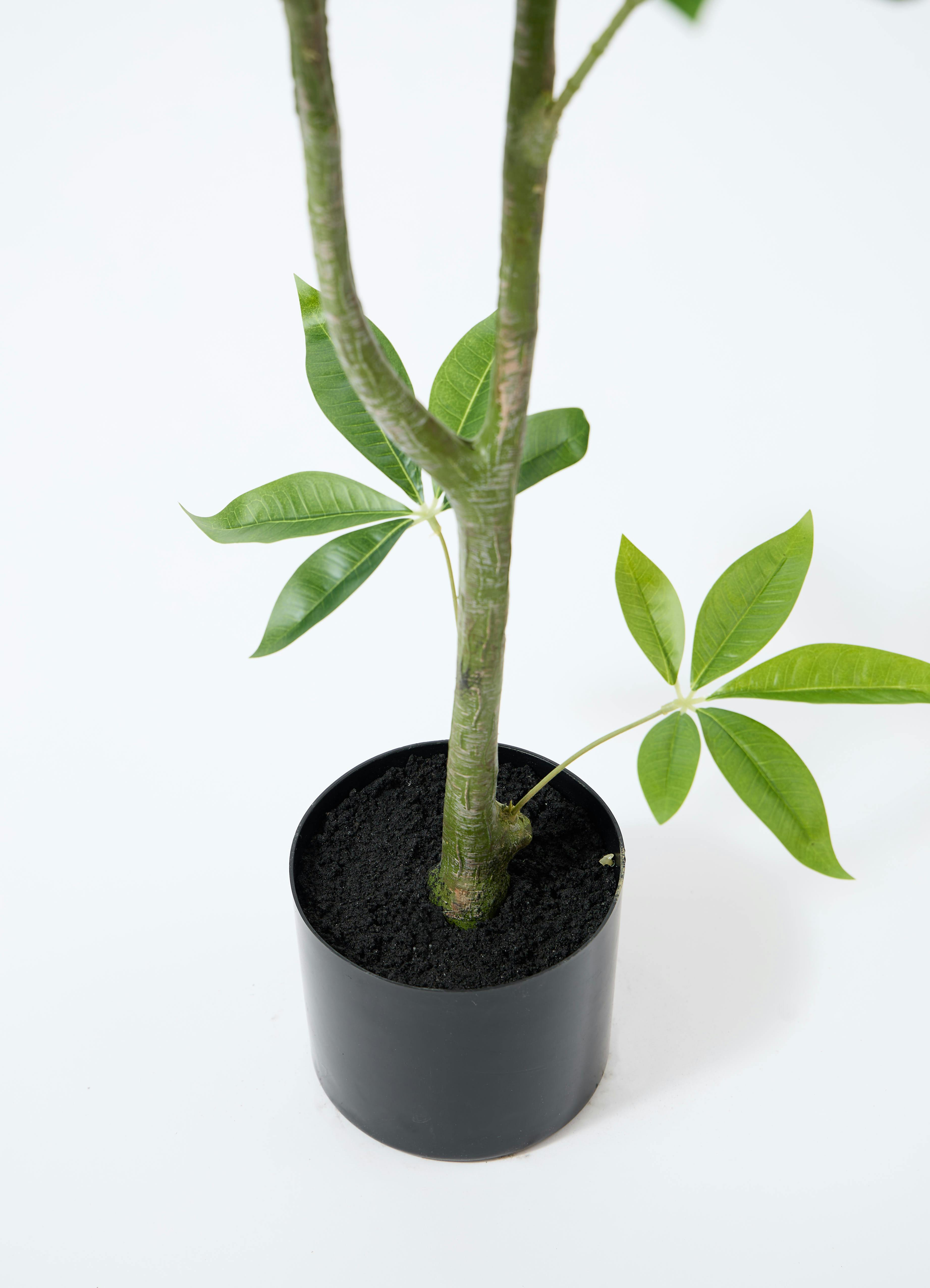 観葉植物【フェイクグリーン】パキラ 120cm コーテス ラウンド