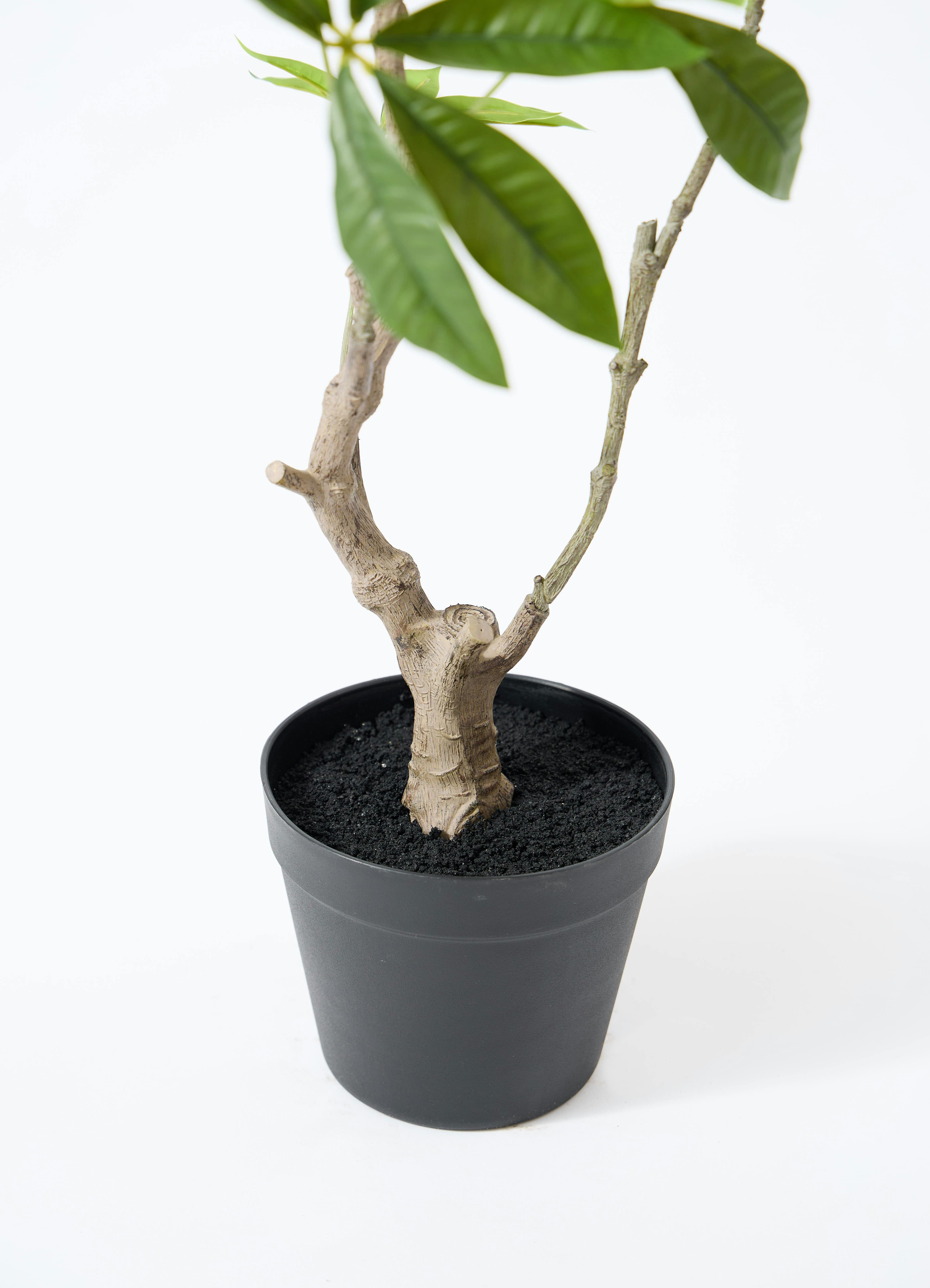 パキラ　フェイクグリーン　観葉植物 Artificial - Green フェイクグリーン パキラ – KANADEMONO