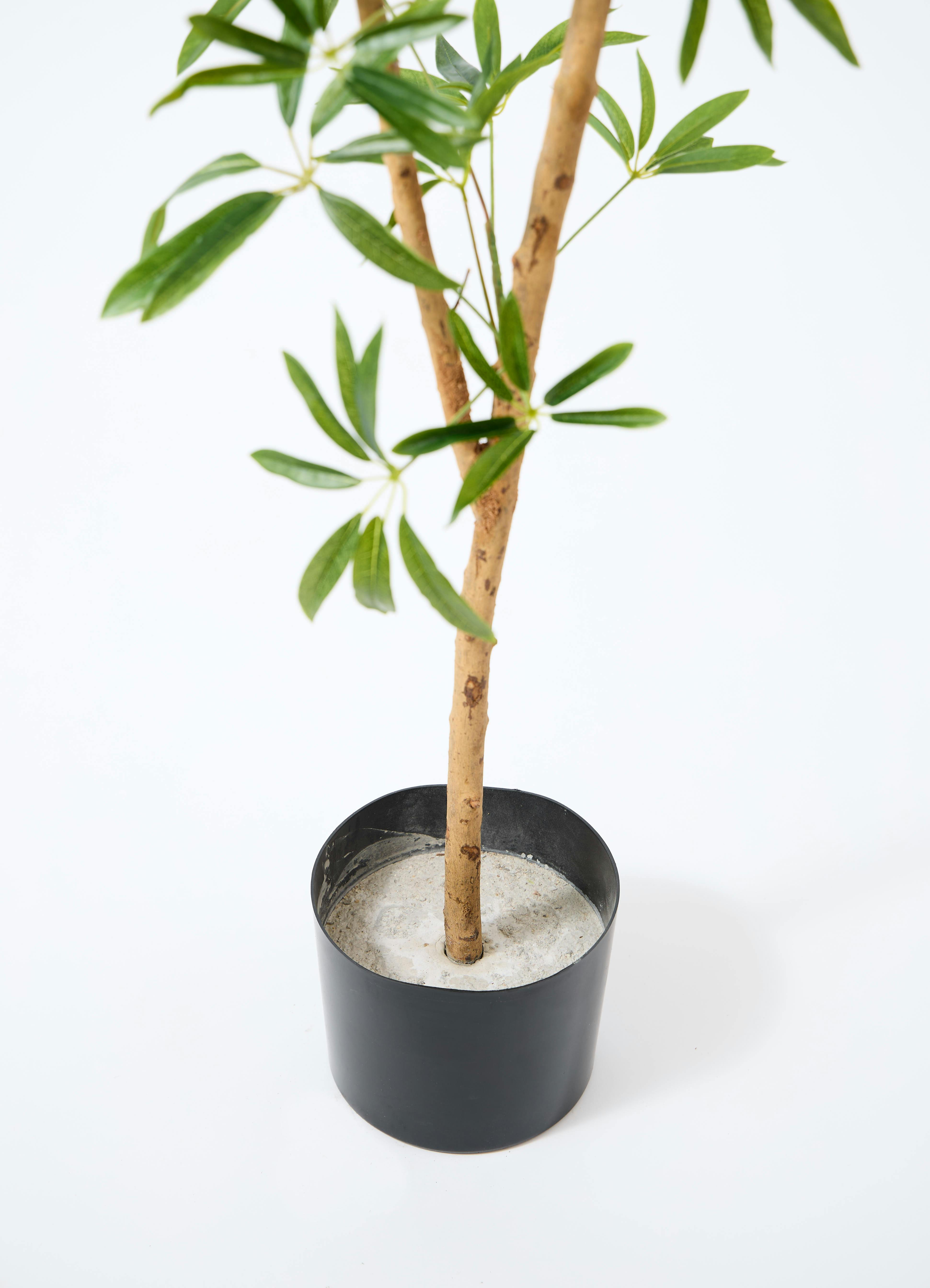観葉植物 【フェイクグリーン】 シェフレラ 原木 180cm フェルム 