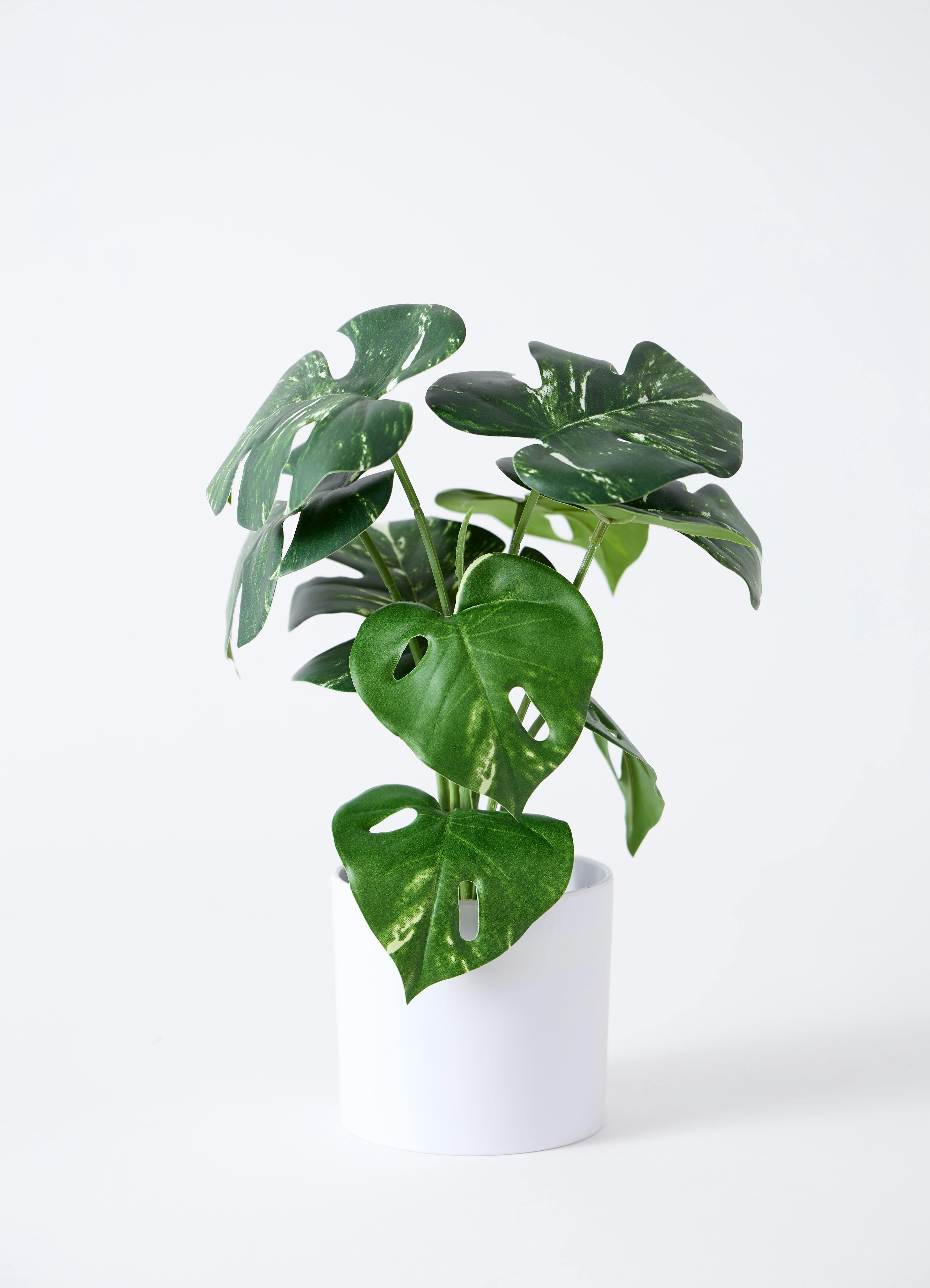 観葉植物【フェイクグリーン】モンステラ 20cm インナ 11 G 付き