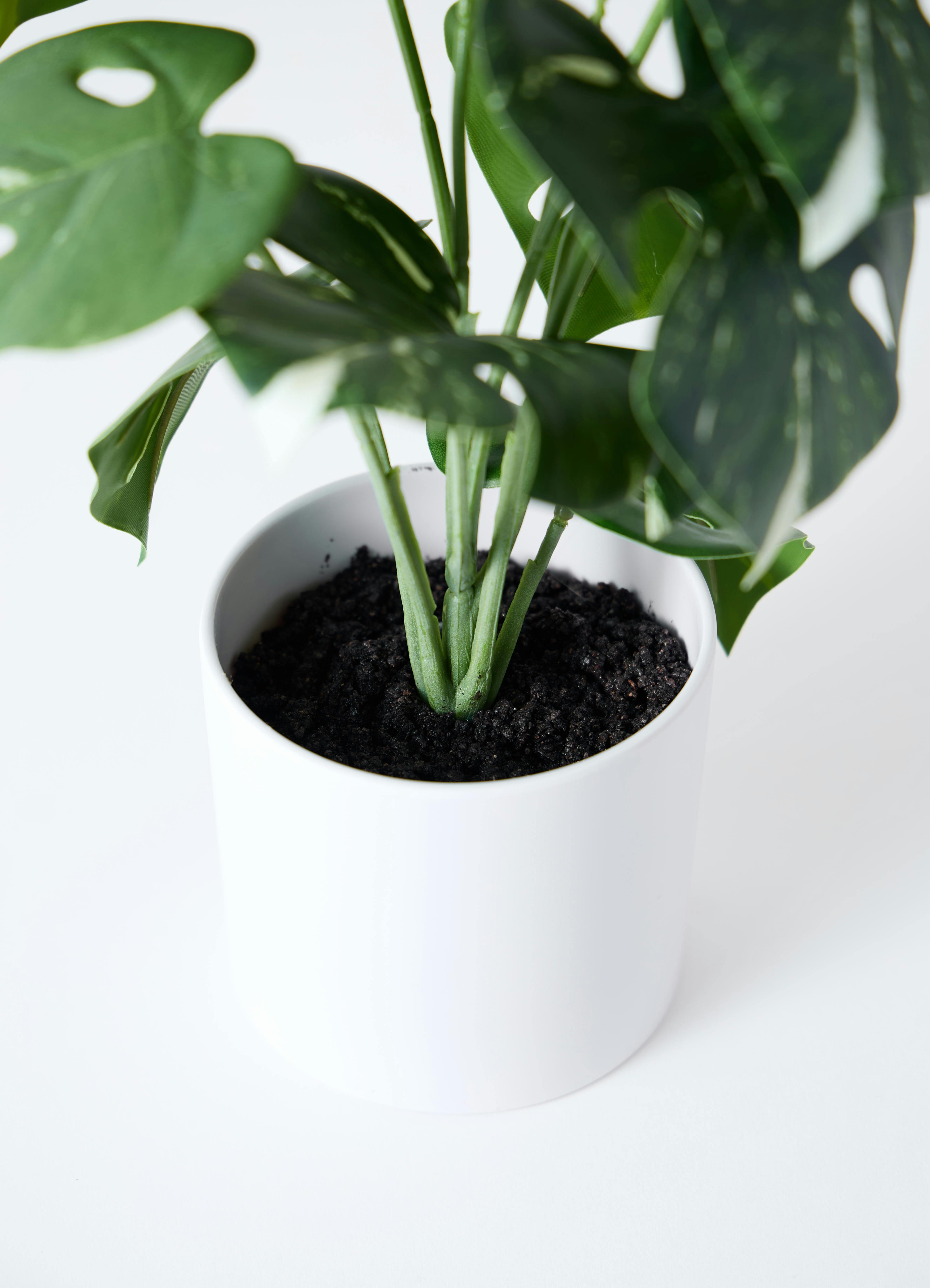 観葉植物【フェイクグリーン】モンステラ 30cm ベースポット入り #A