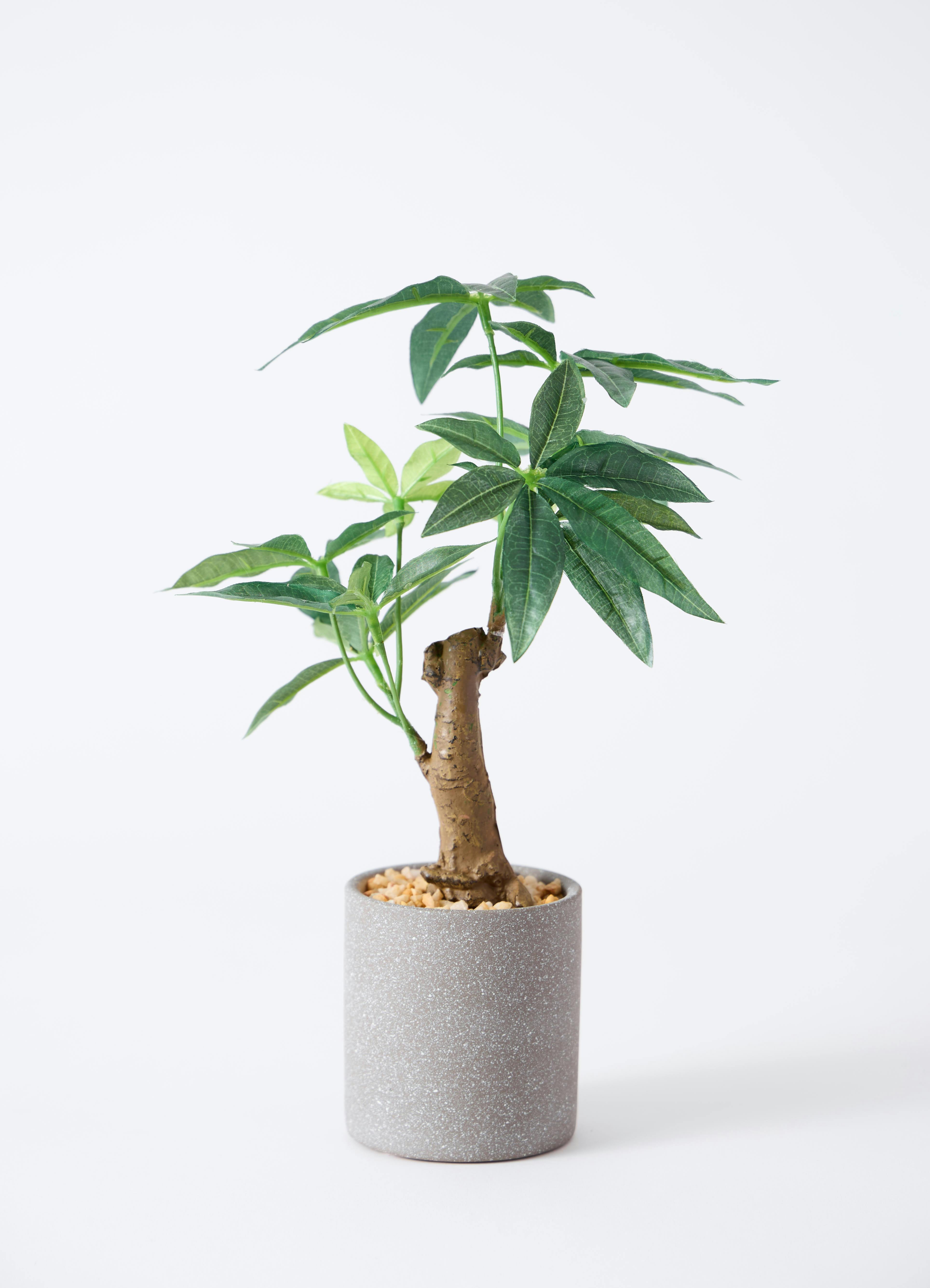 観葉植物【フェイクグリーン】パキラ 30cm ベースポット入り #GLA-1522