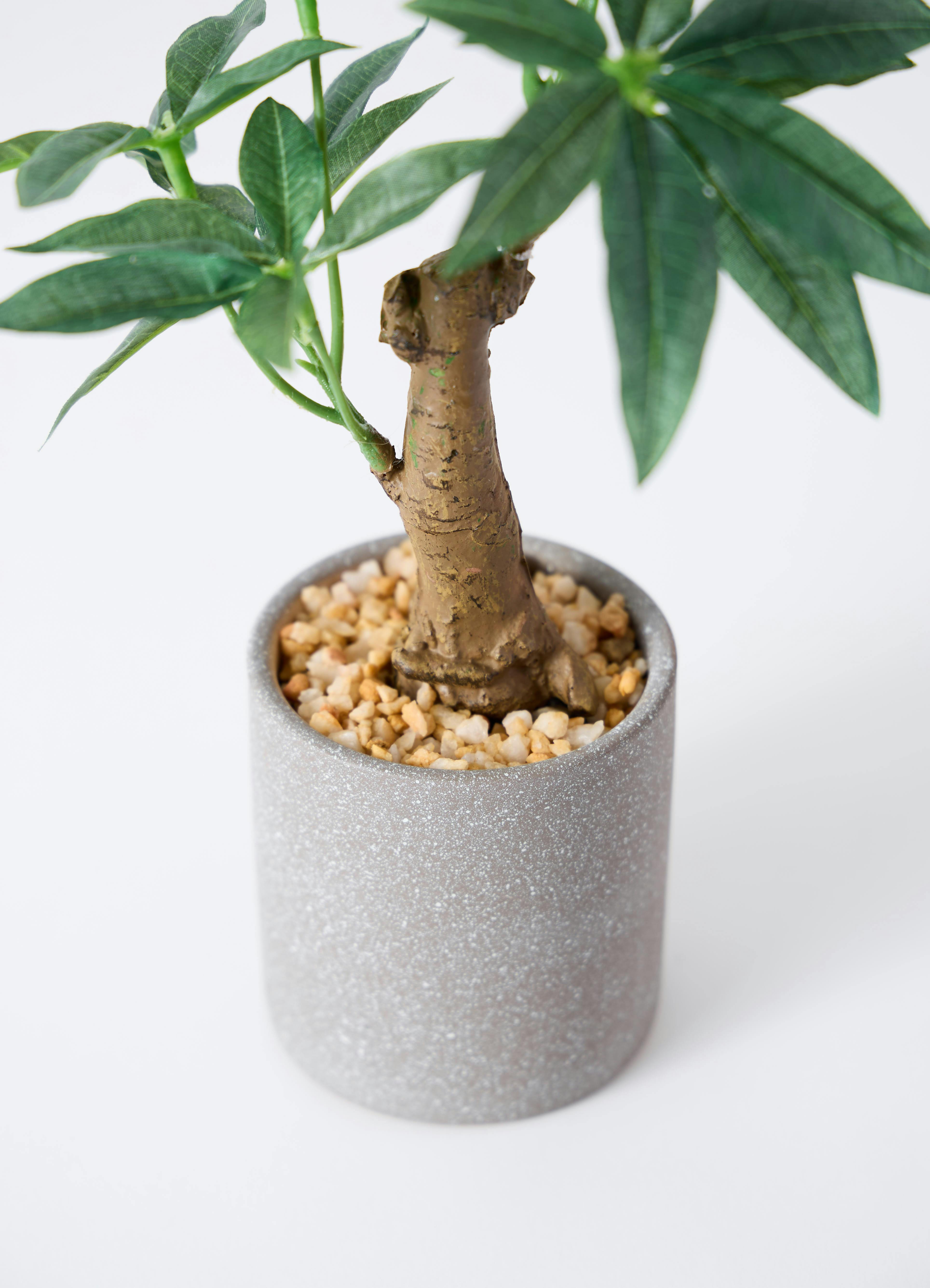 観葉植物【フェイクグリーン】パキラ 30cm インナ 11 G 付き | 観葉
