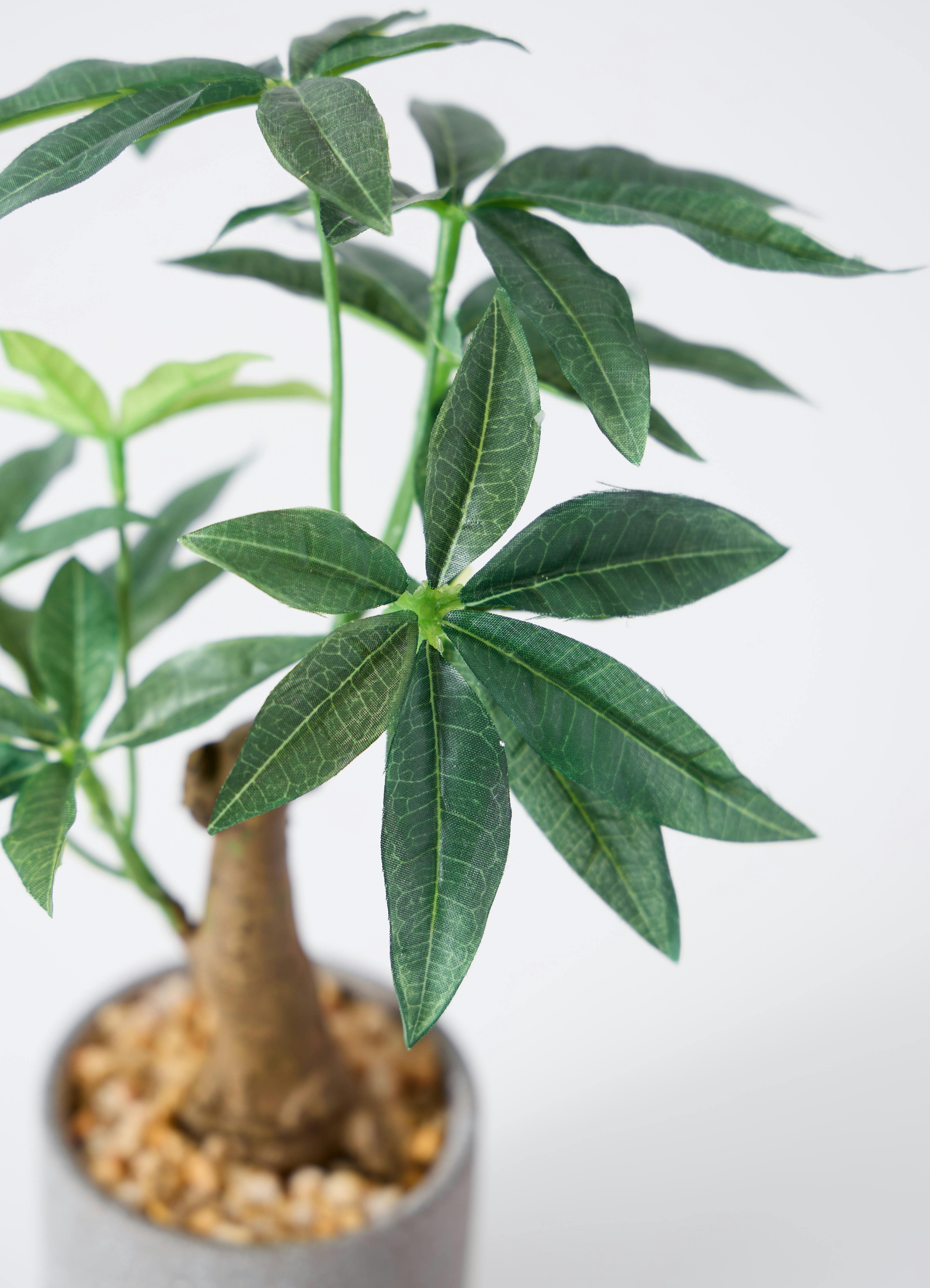 観葉植物【フェイクグリーン】パキラ 30cm ラダ 12 B ベージュ 付き 