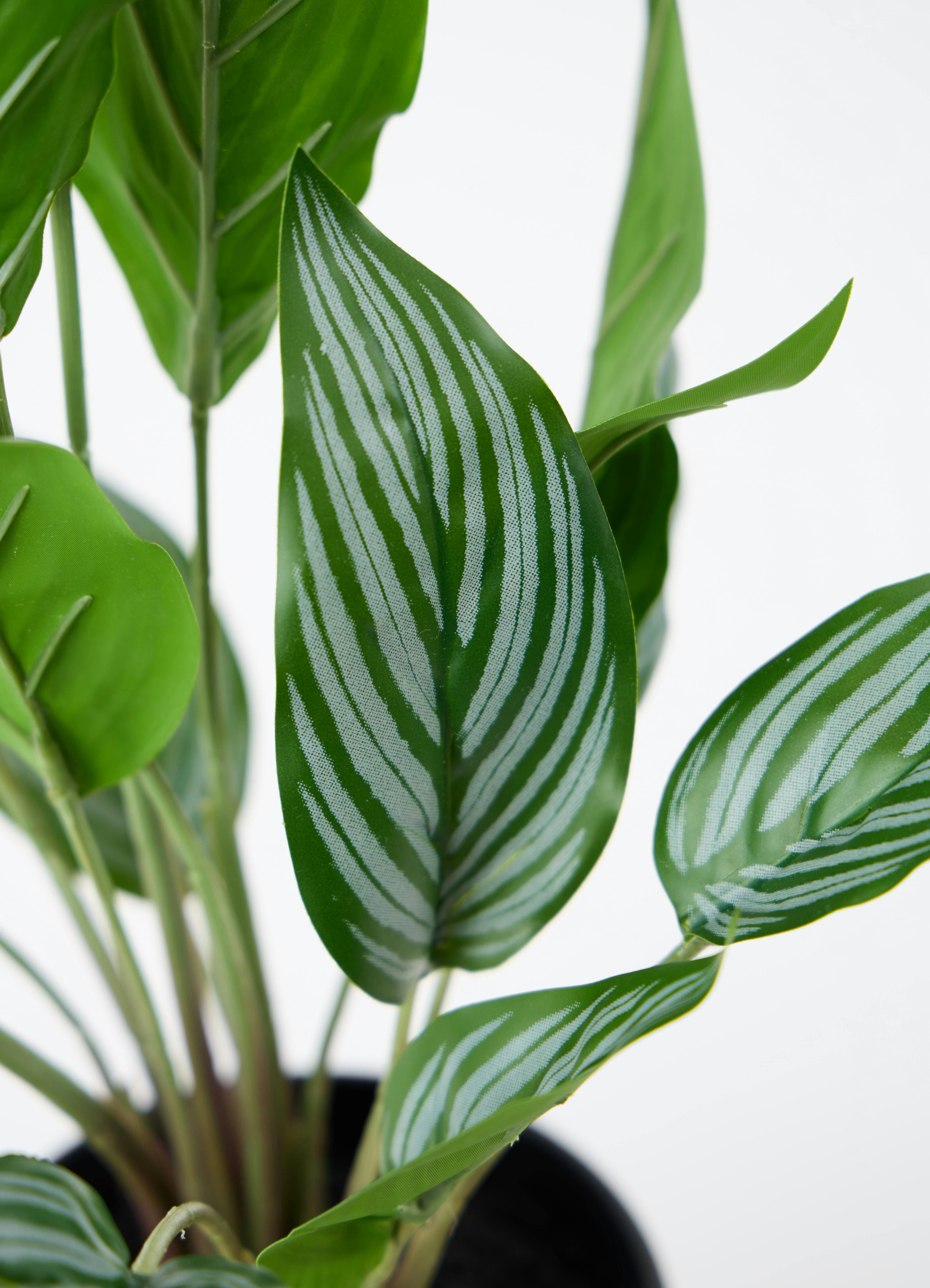 観葉植物【フェイクグリーン】カラテア 30cm オスト ボール マット