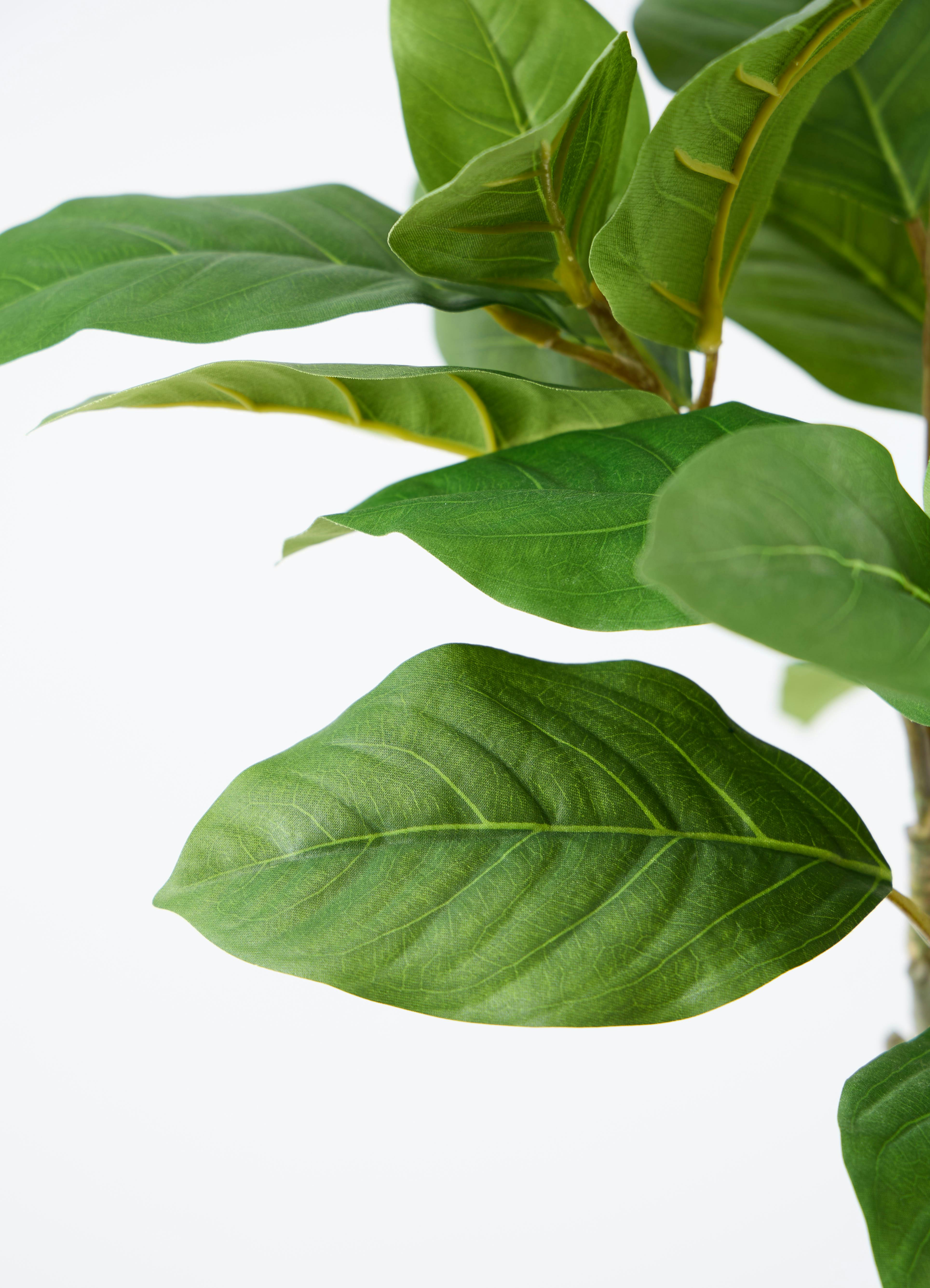 観葉植物【フェイクグリーン】フィカス ベンガレンシス 60cm ベース