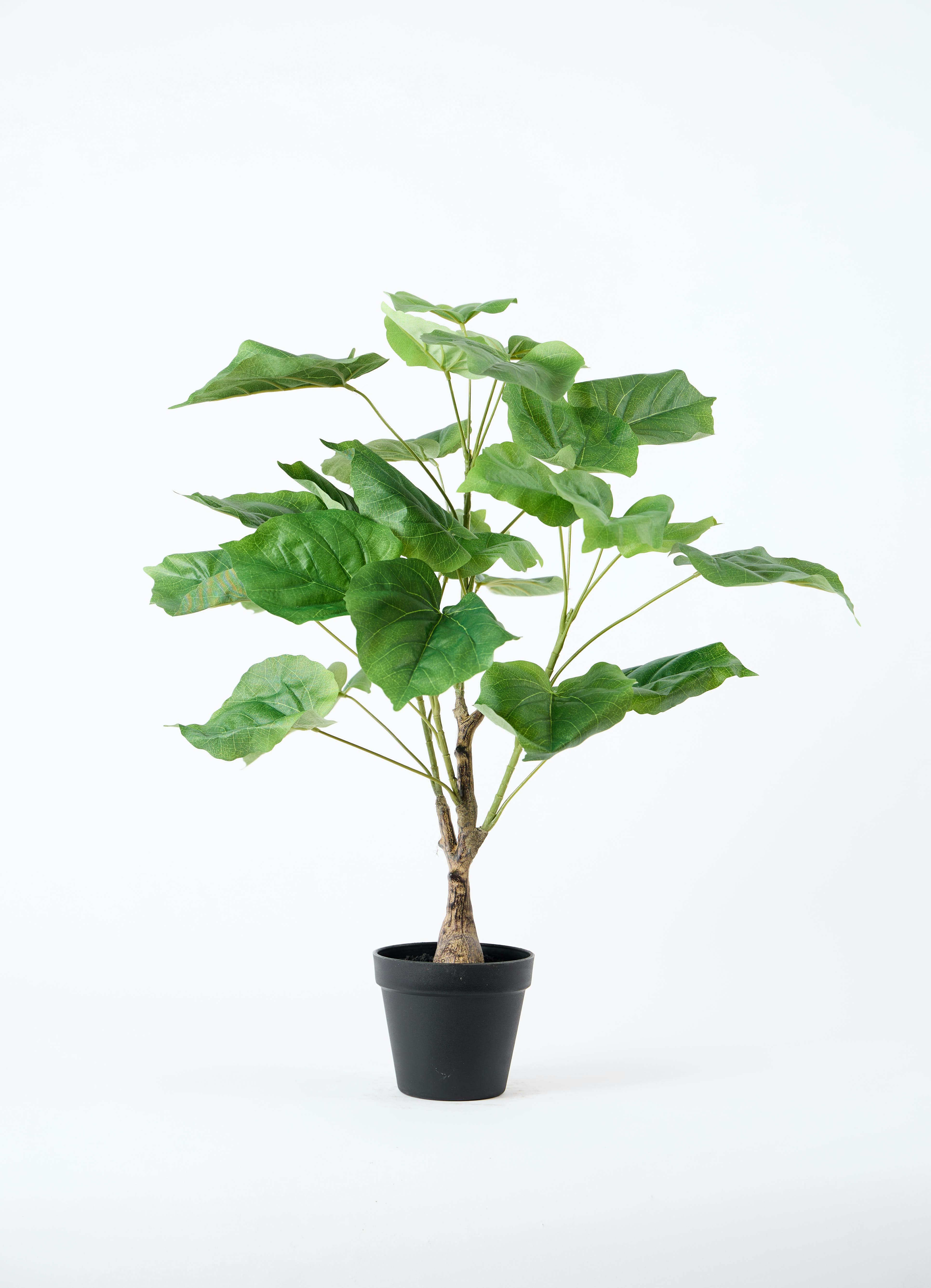 観葉植物【フェイクグリーン】フィカス ウンベラータ 60cm ベラ ピンク