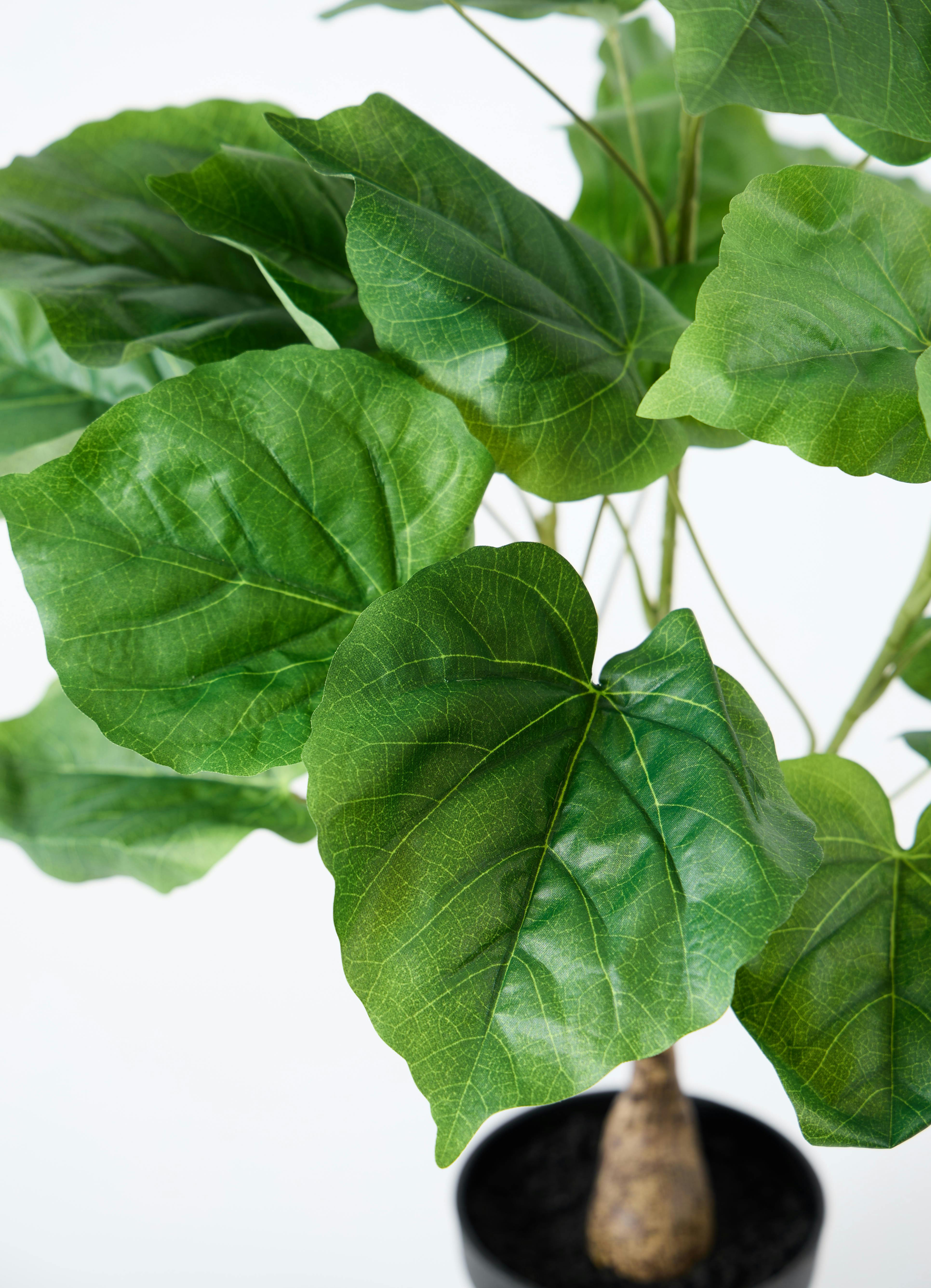 観葉植物【フェイクグリーン】フィカス ウンベラータ 60cm ベラ ピンク