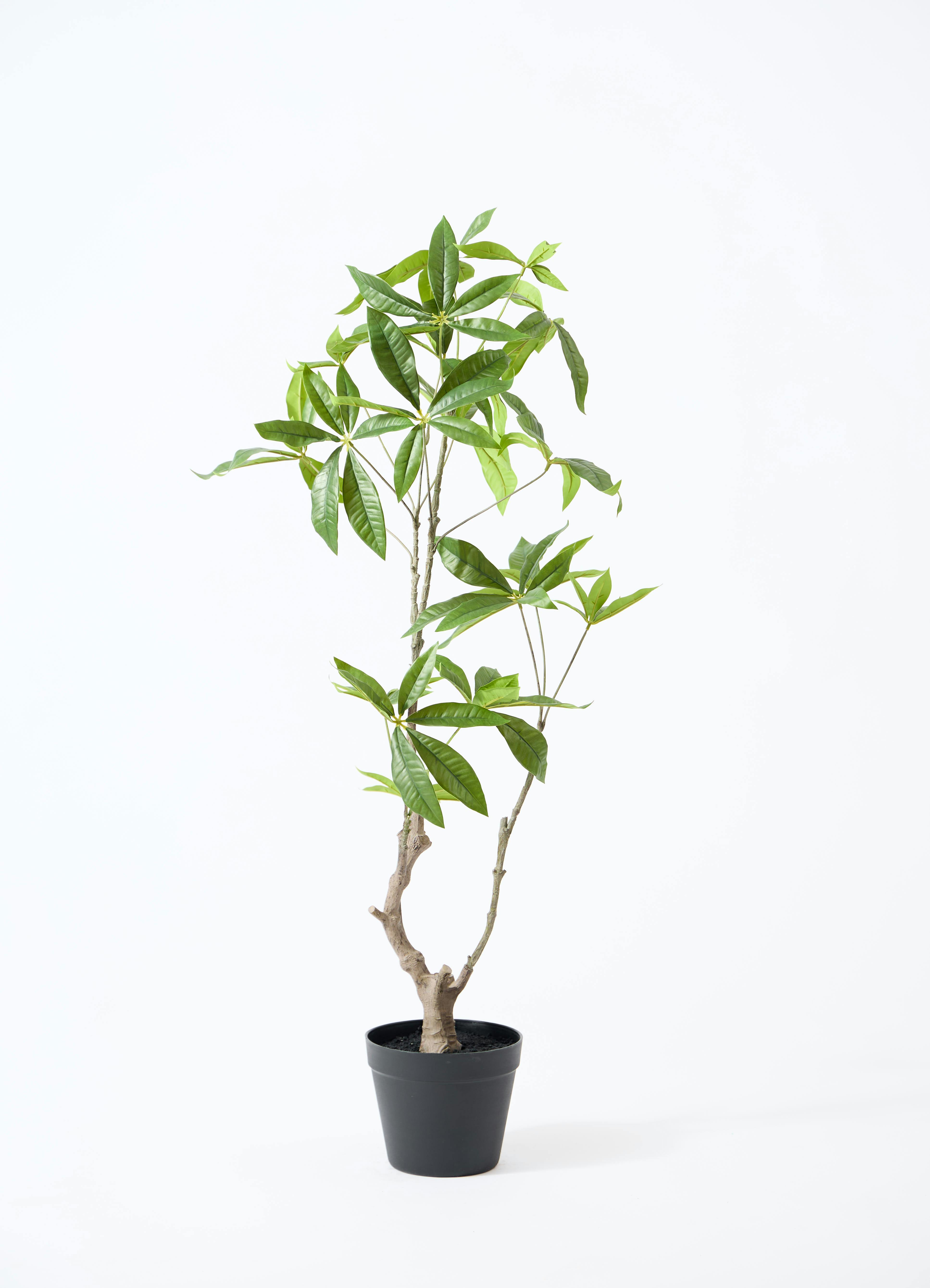観葉植物 フェイクグリーン　大型　ヤシの木　　パキラ 楽天市場】パキラ フェイクグリーン 高さ120cm 造花 観葉植物 フェイク
