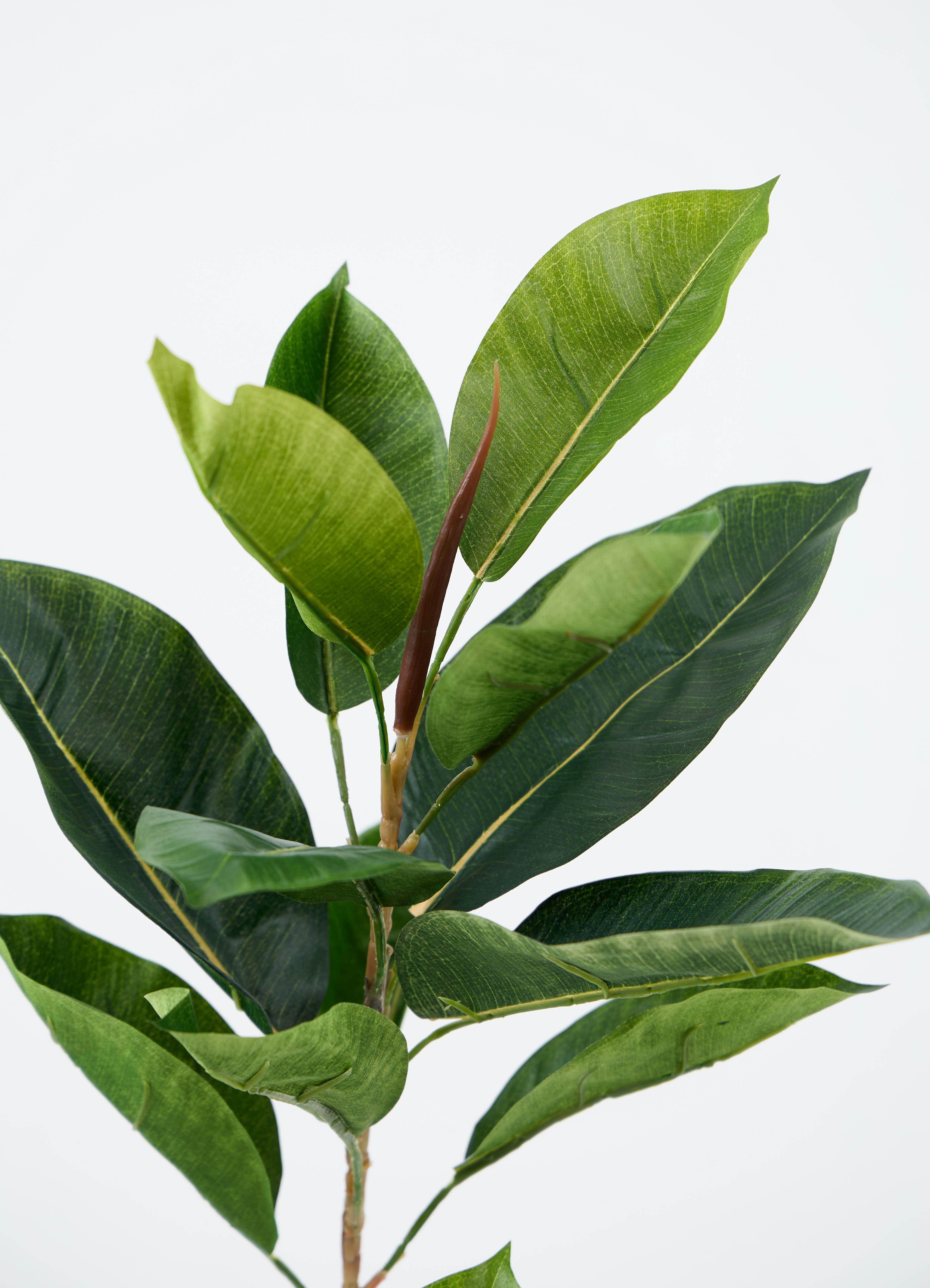 観葉植物【フェイクグリーン】フィカス（ゴムの木） 90cm カッセル