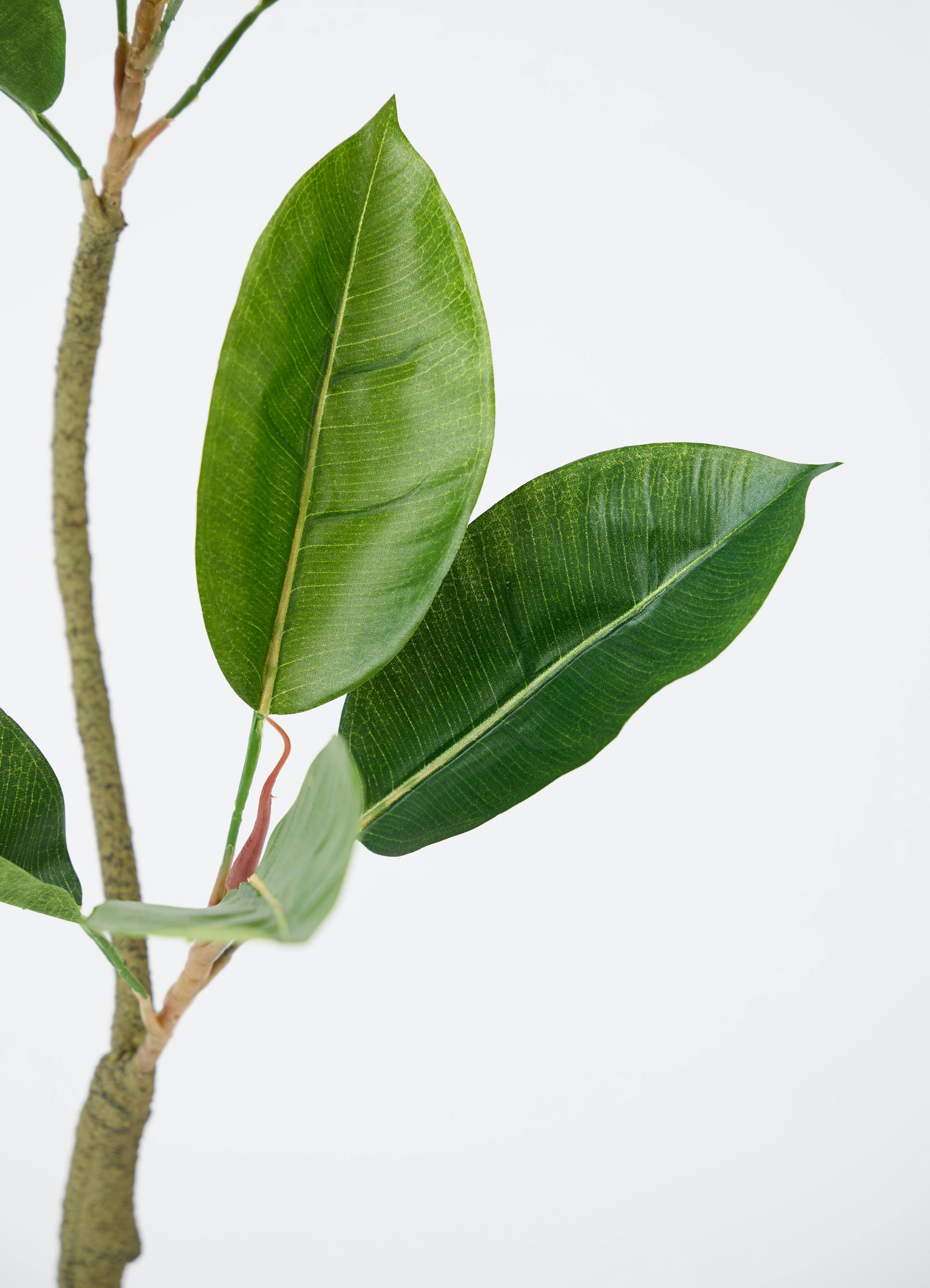 観葉植物 フェイク FICUS フィカス フェイクグリーン Ficus(フィカス) 1124 H170cm 2種対応の通販情報