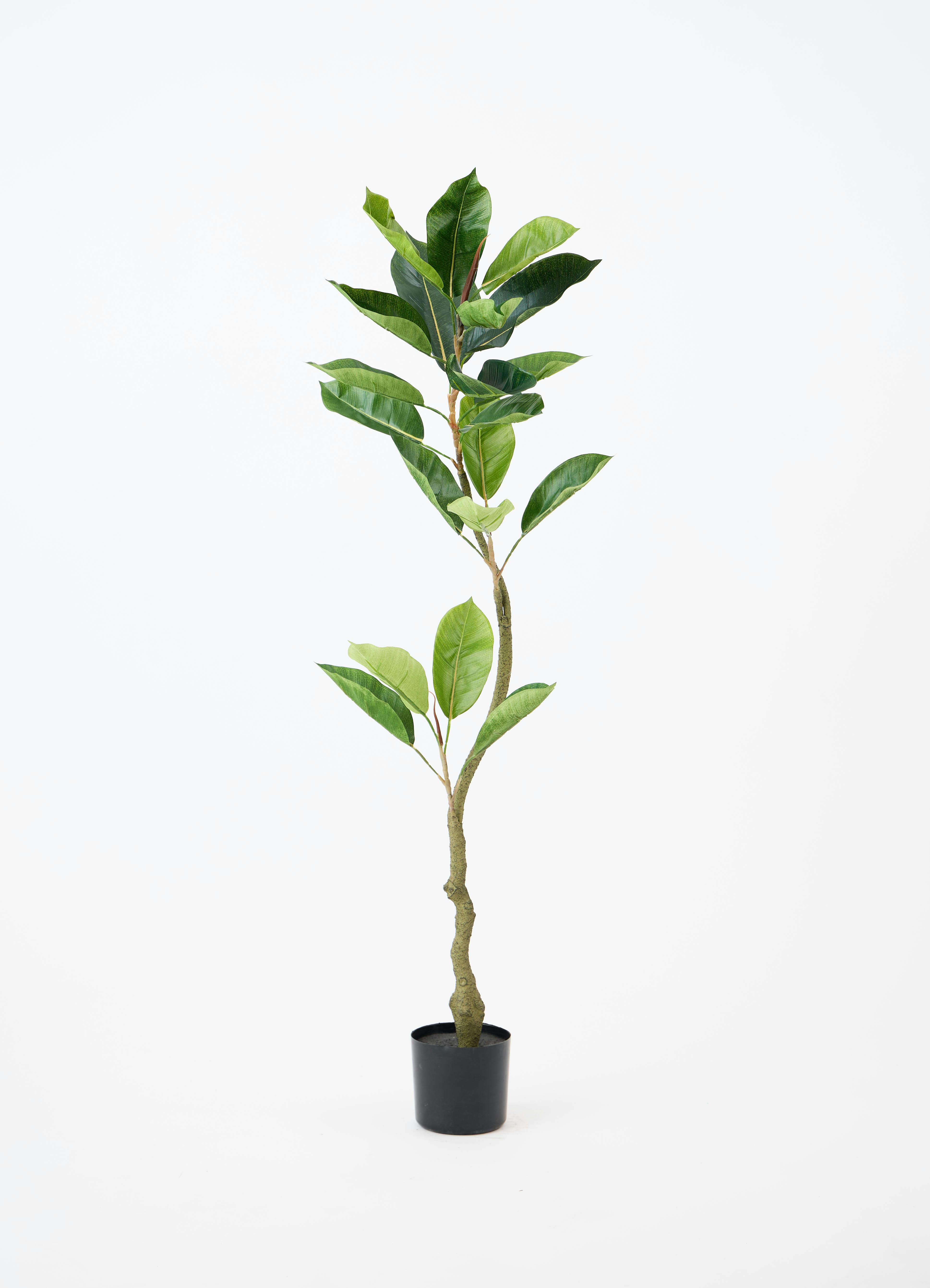 観葉植物【フェイクグリーン】フィカス（ゴムの木） 120cm ベース